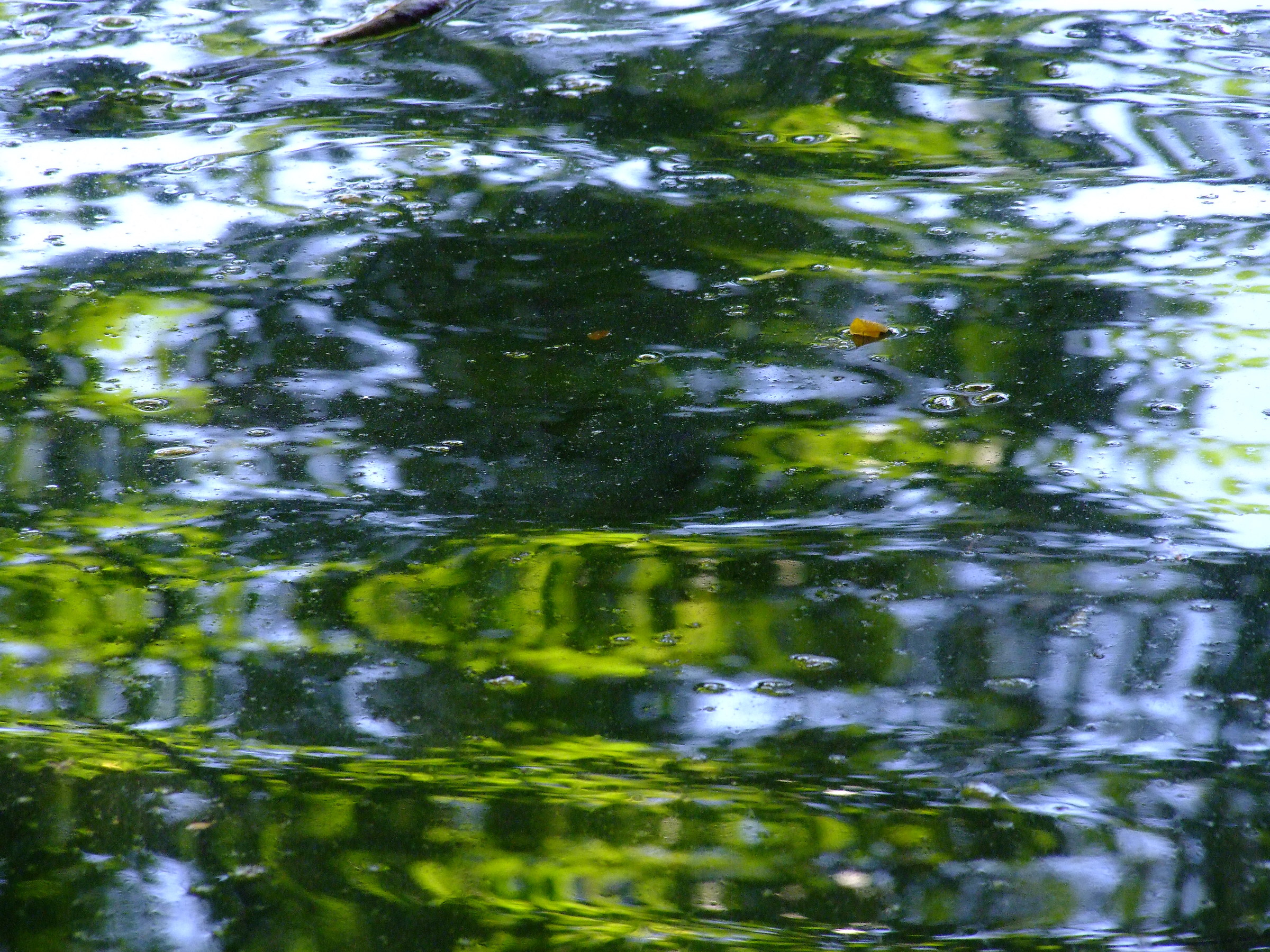 Reflexes and a little dirty water