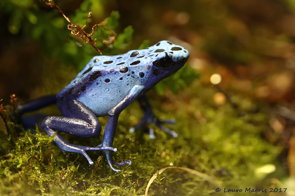 Ai blocchi di partenza