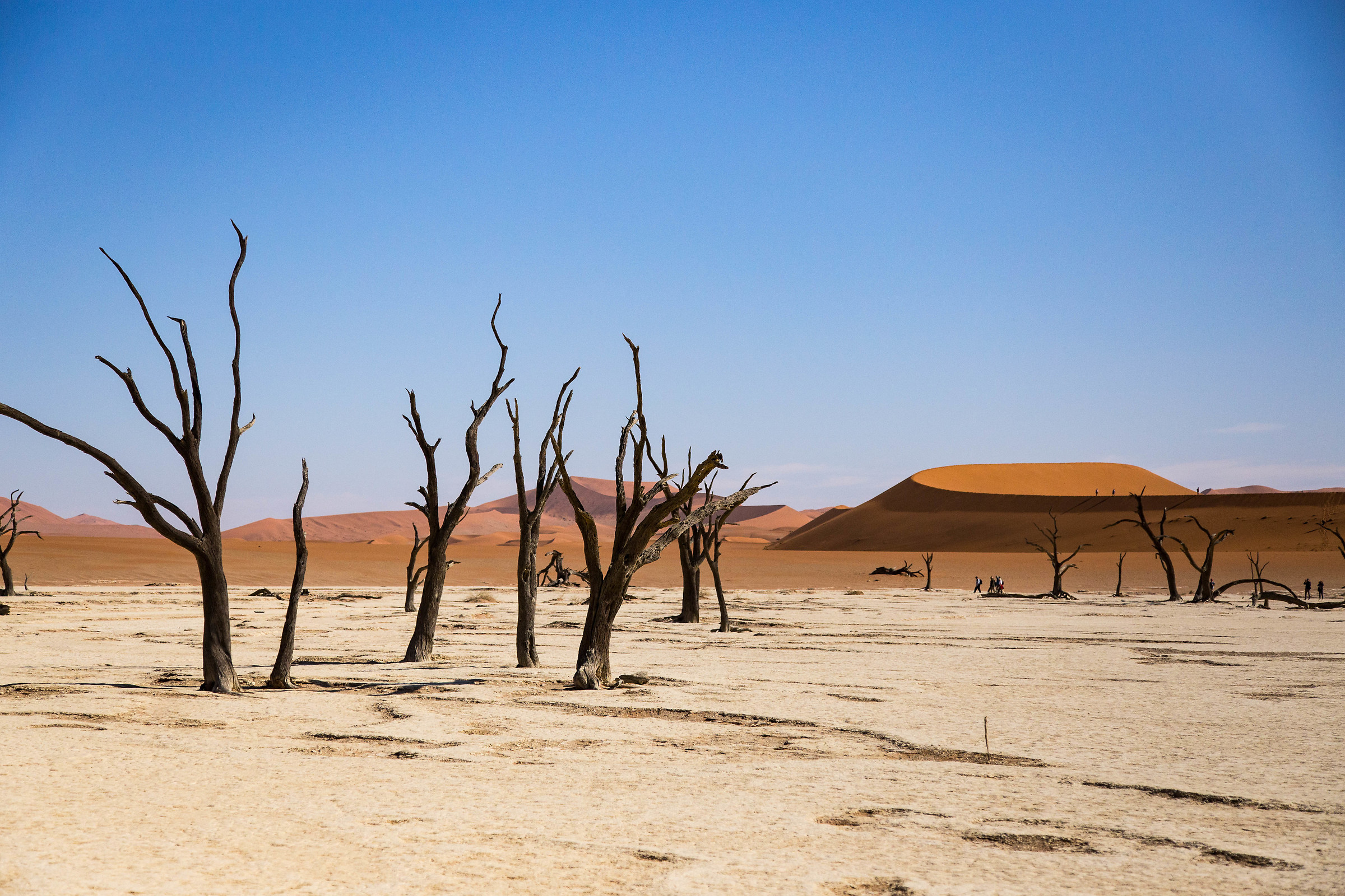 Desert Namib