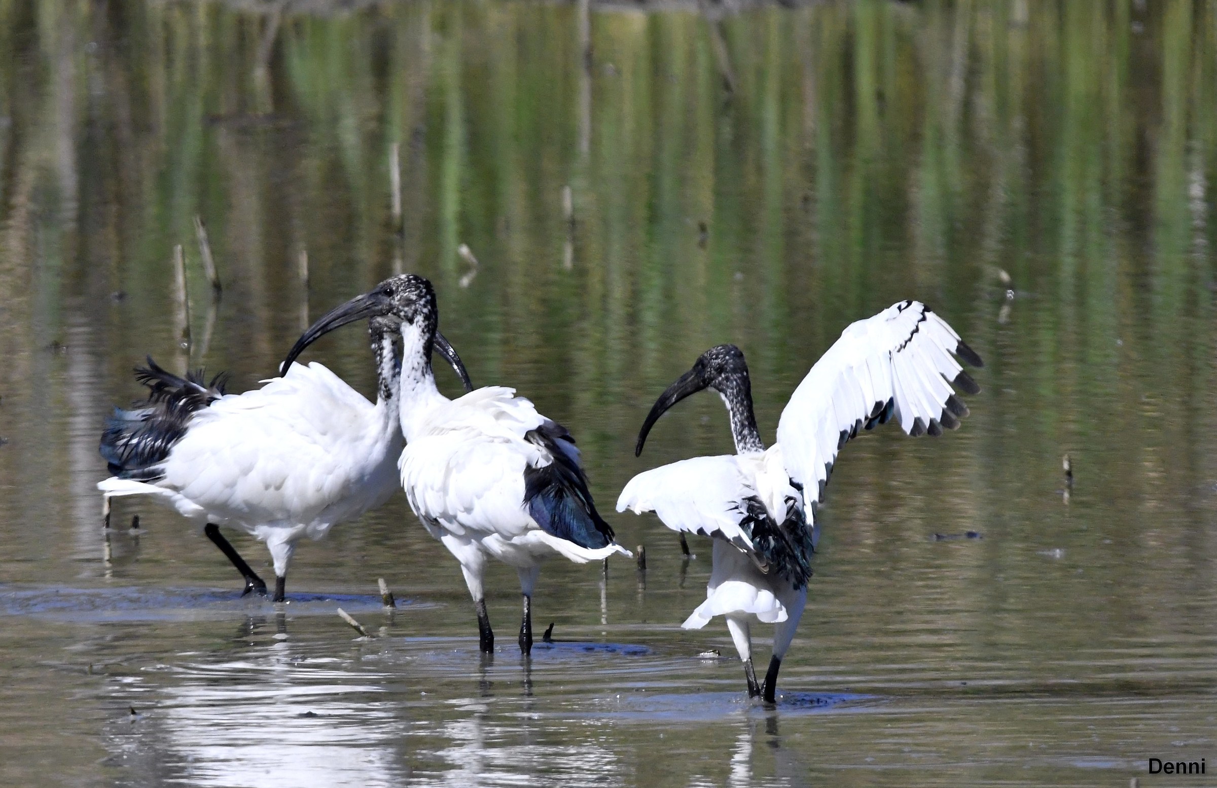 In curve I take them