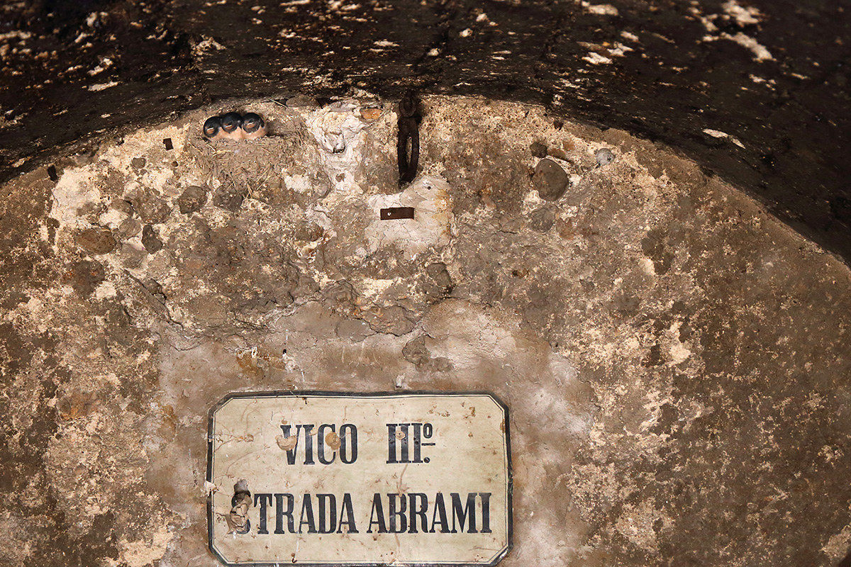 nuovi arrivi in vico III