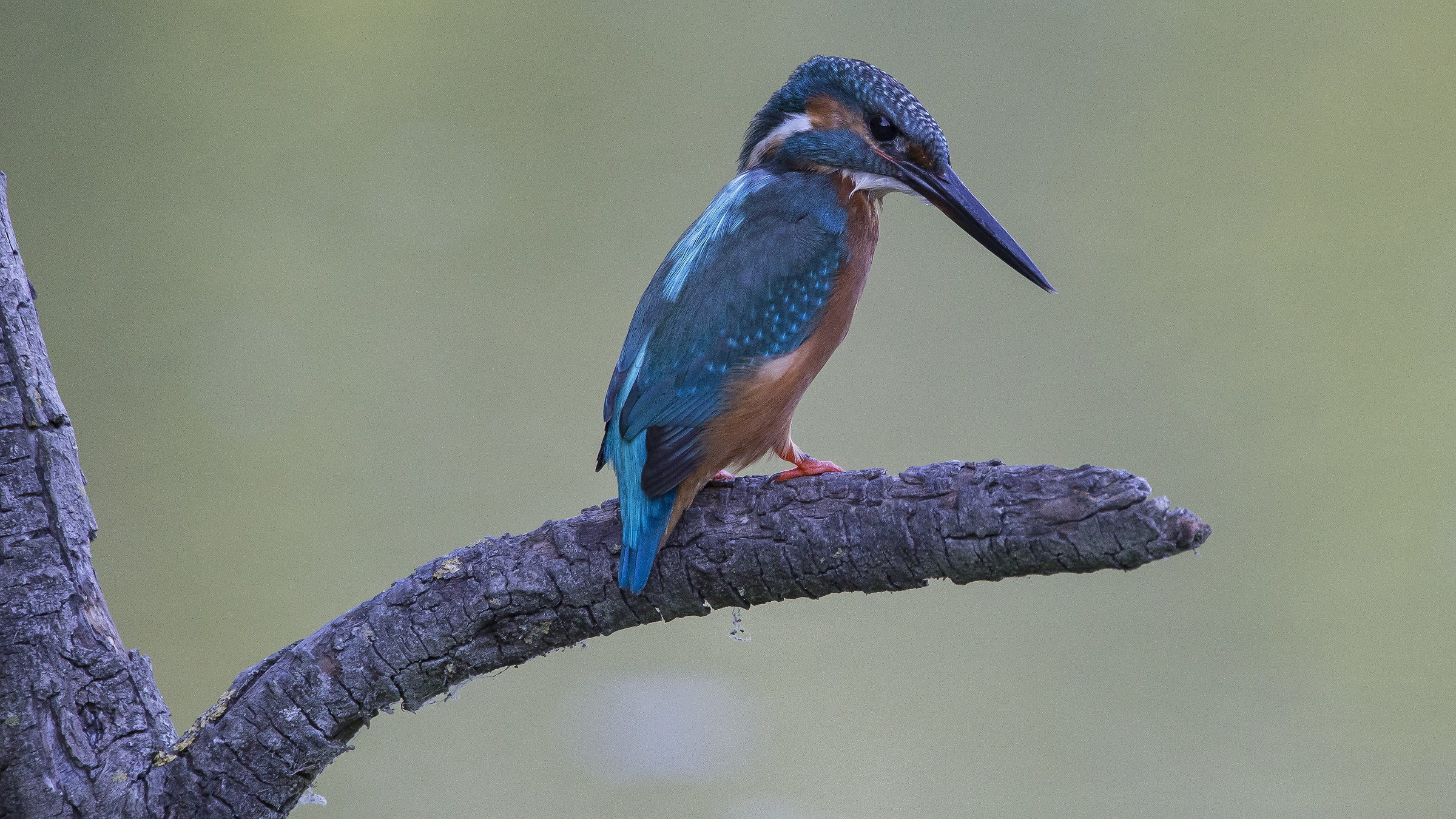 I'm not too bad you know !!!