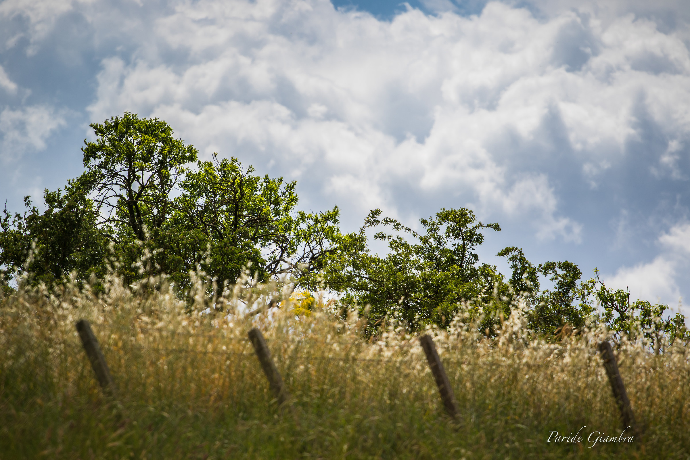 Barrier between earth and sky