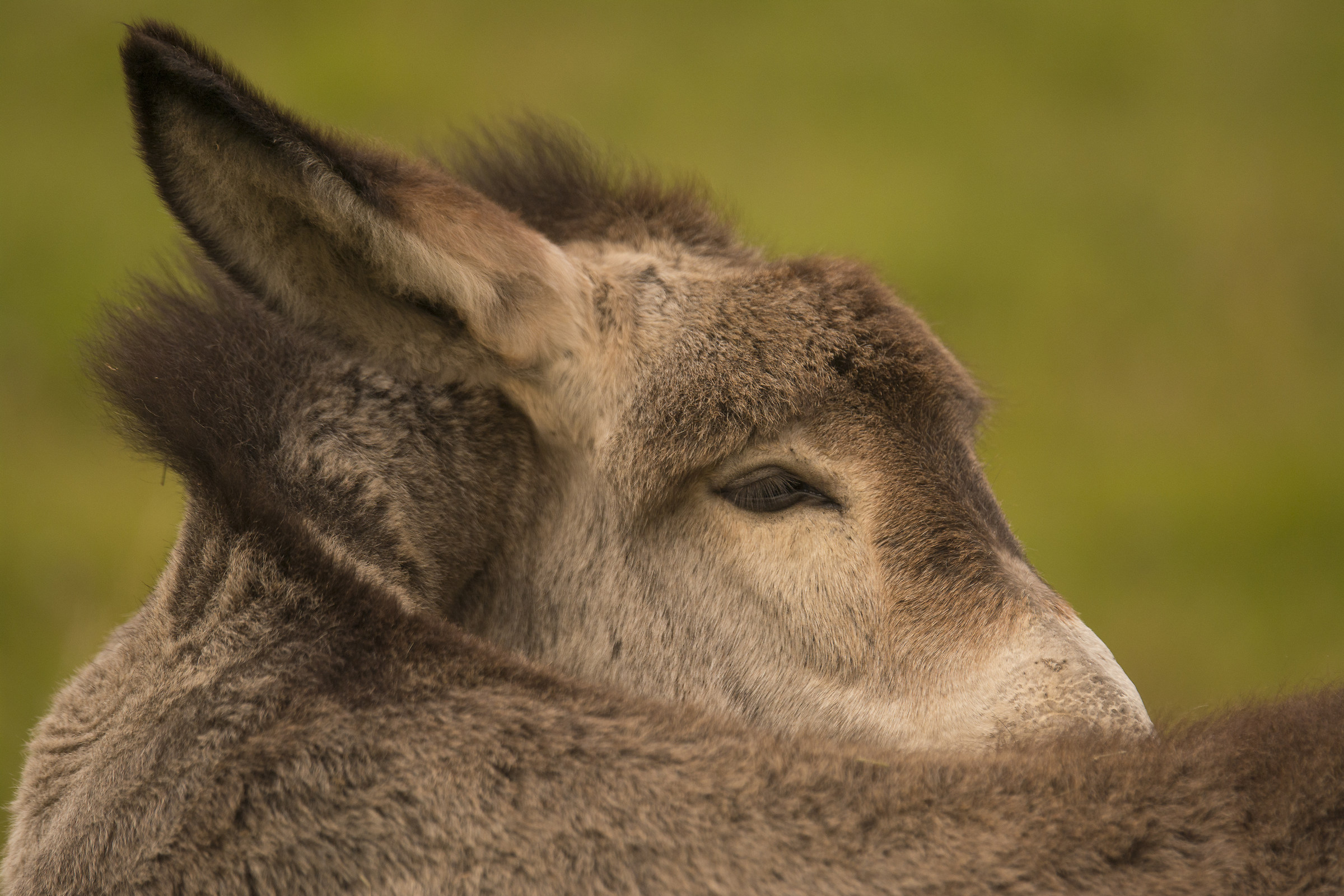 You're not worthy of me