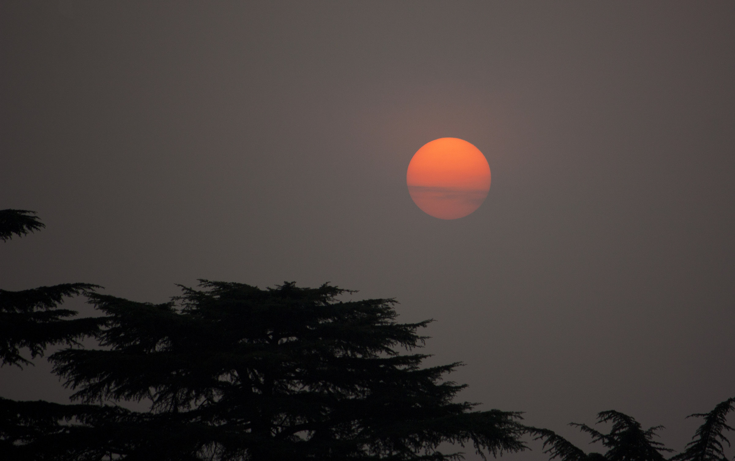 Sole abbracciato dalla foschia