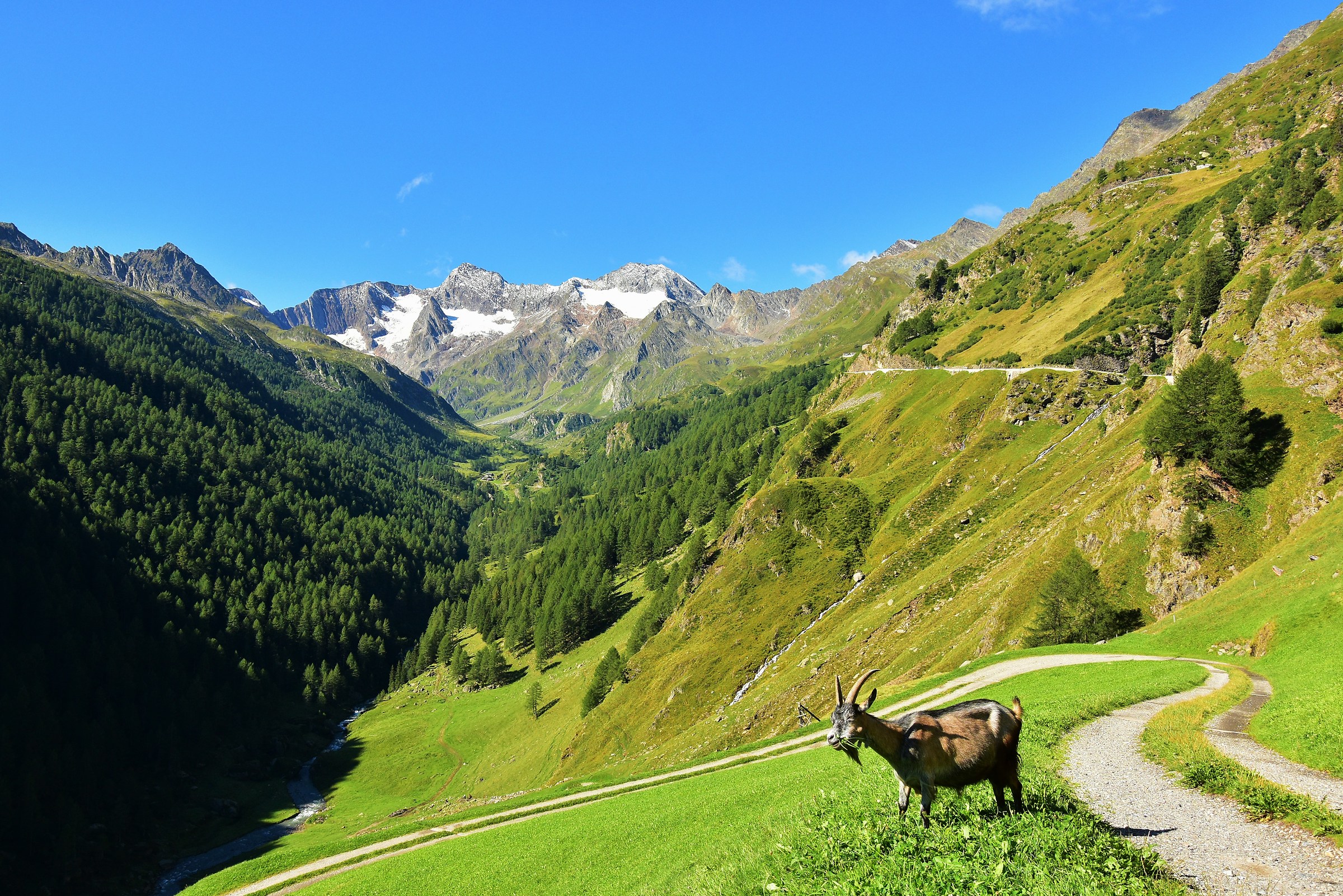 Passo del Rombo verso i 2.509 mt