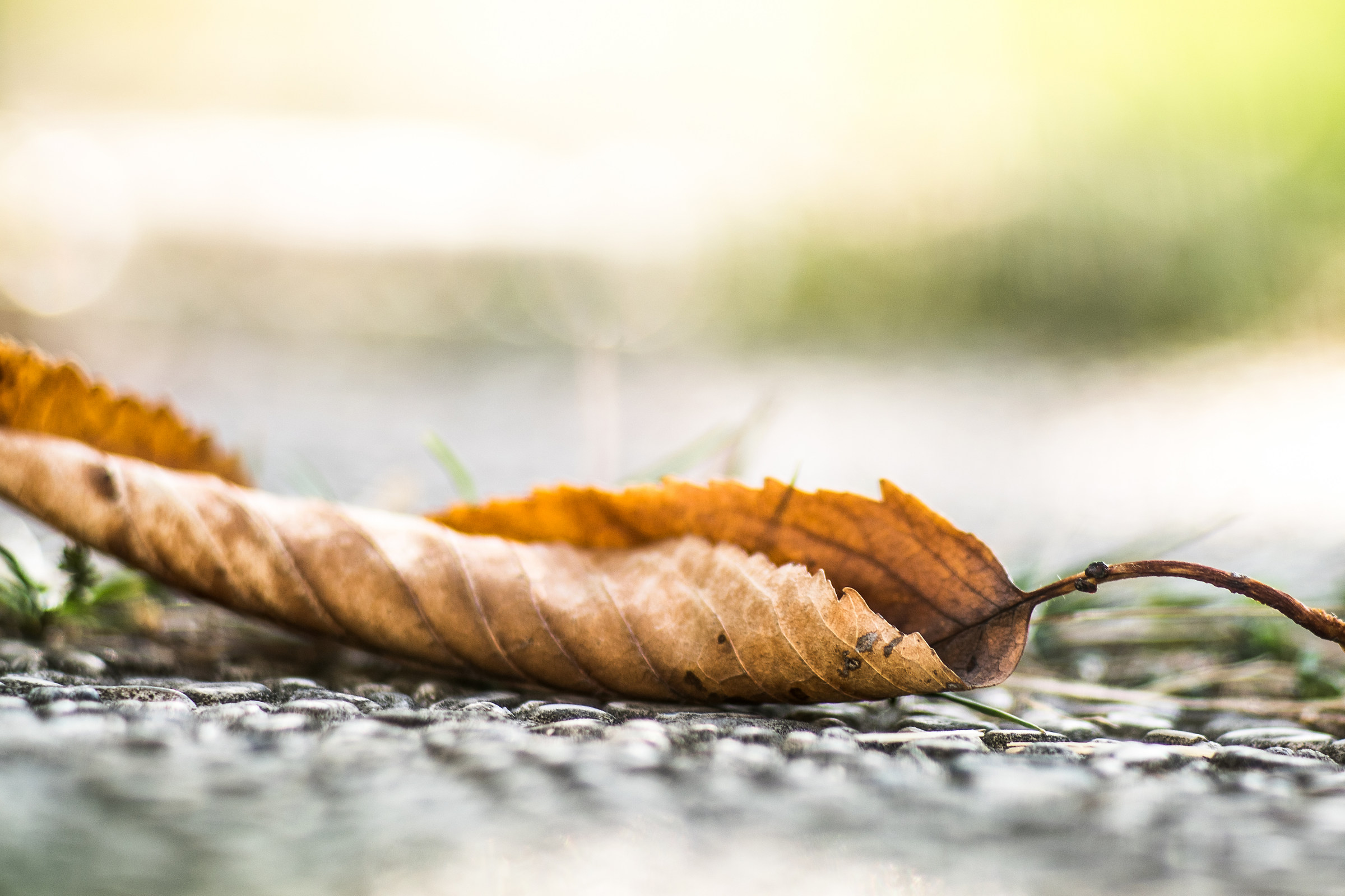 The autumn is approaching