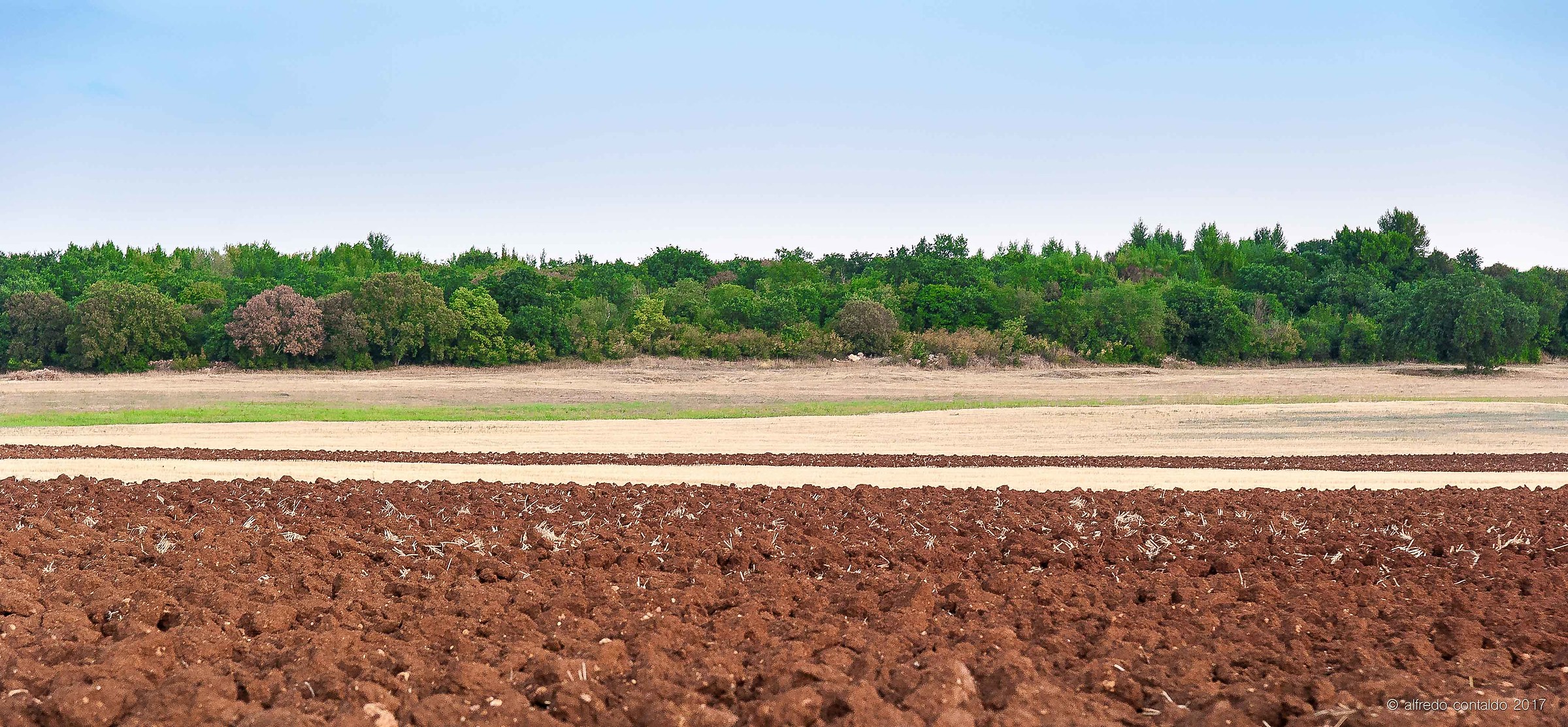 Terra di Siena bruciata