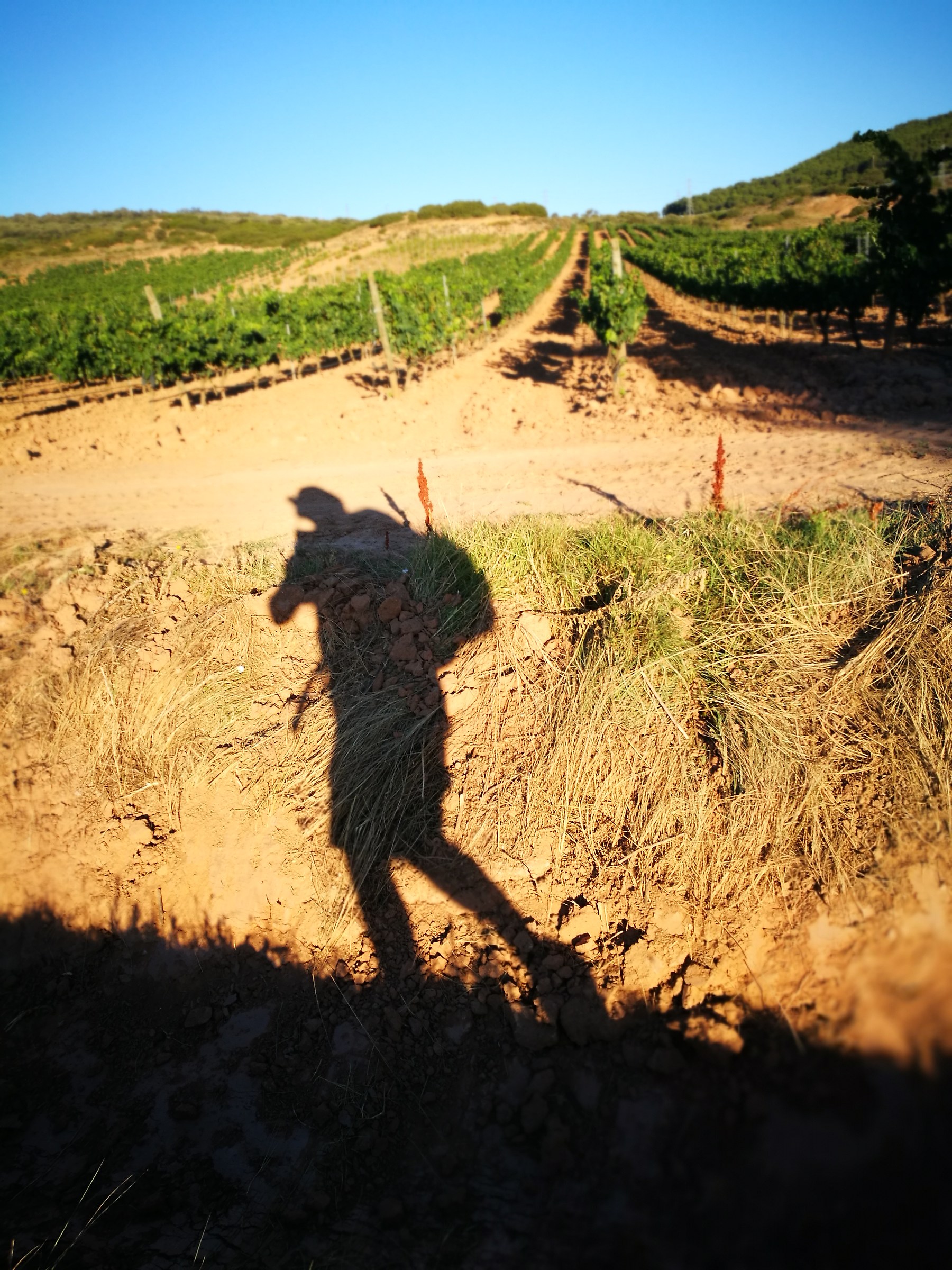 Pellegrinaggi moderni