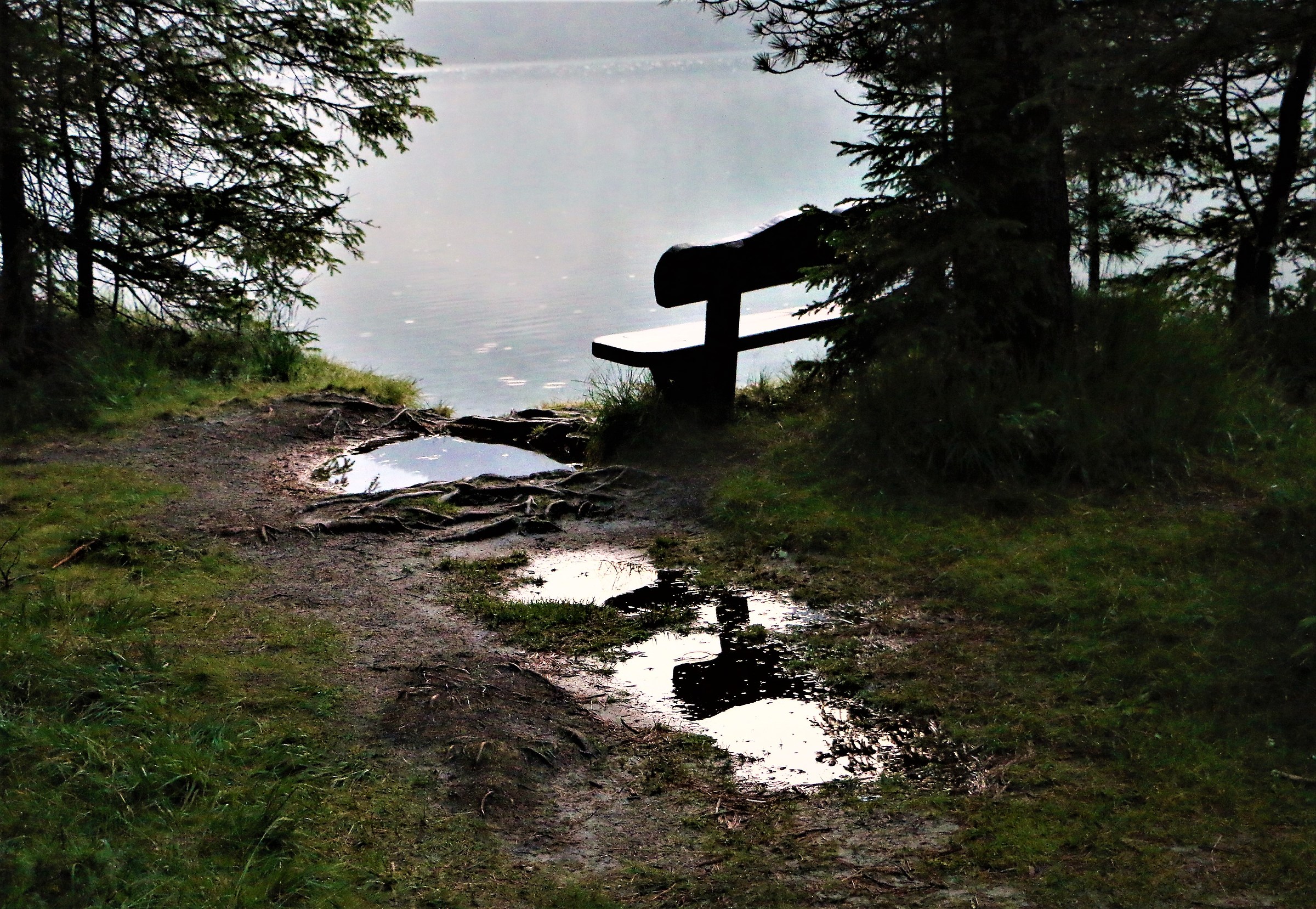 We were in three ... three Juzzini ....