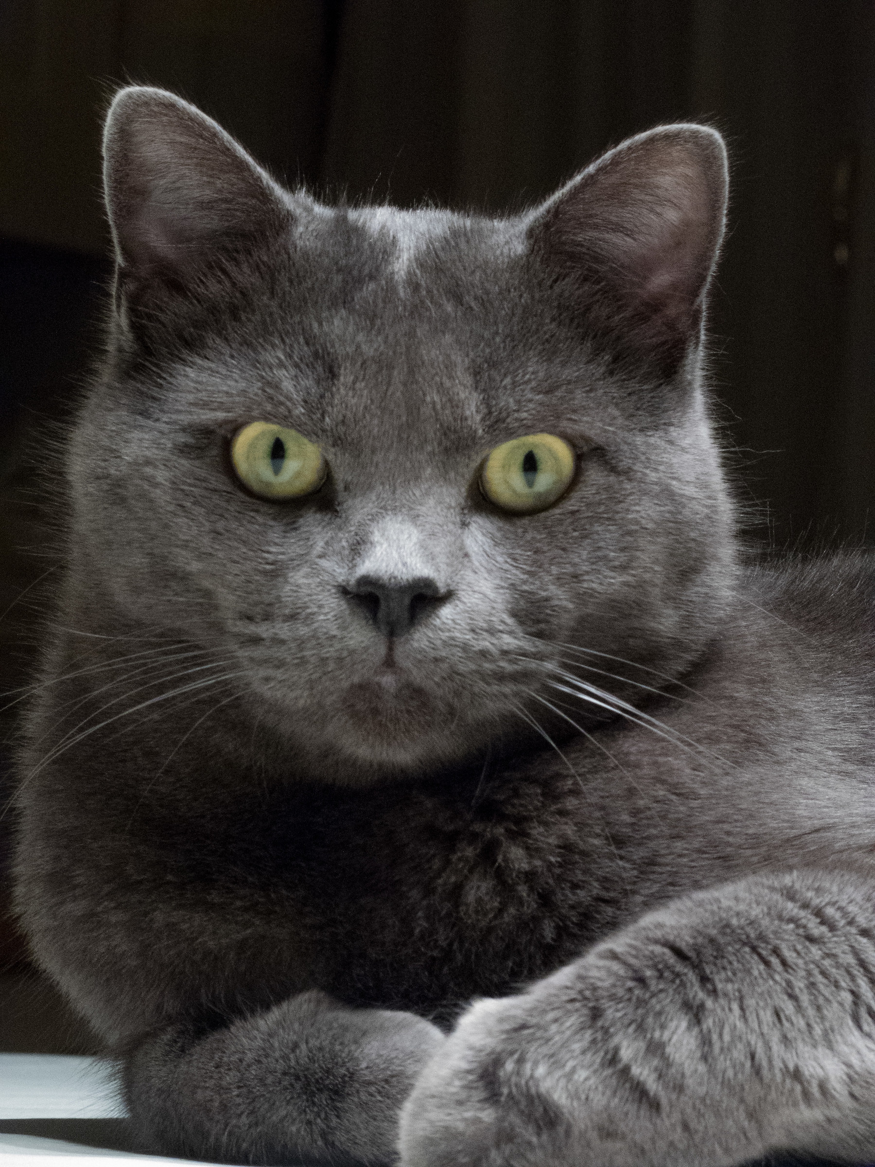 ... siiii ???? .....