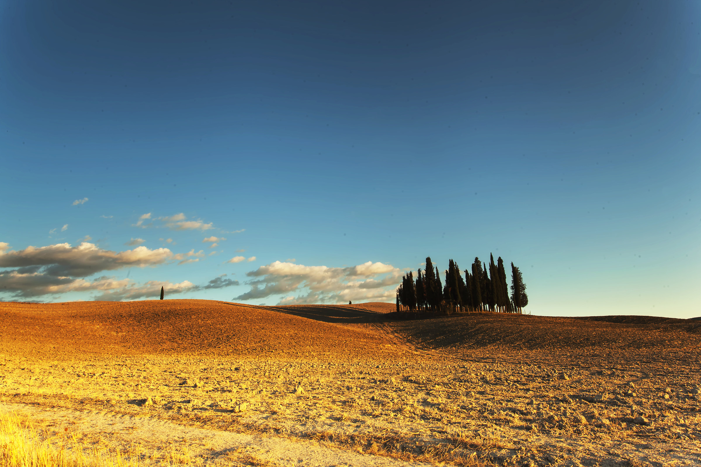 Untitled Photo