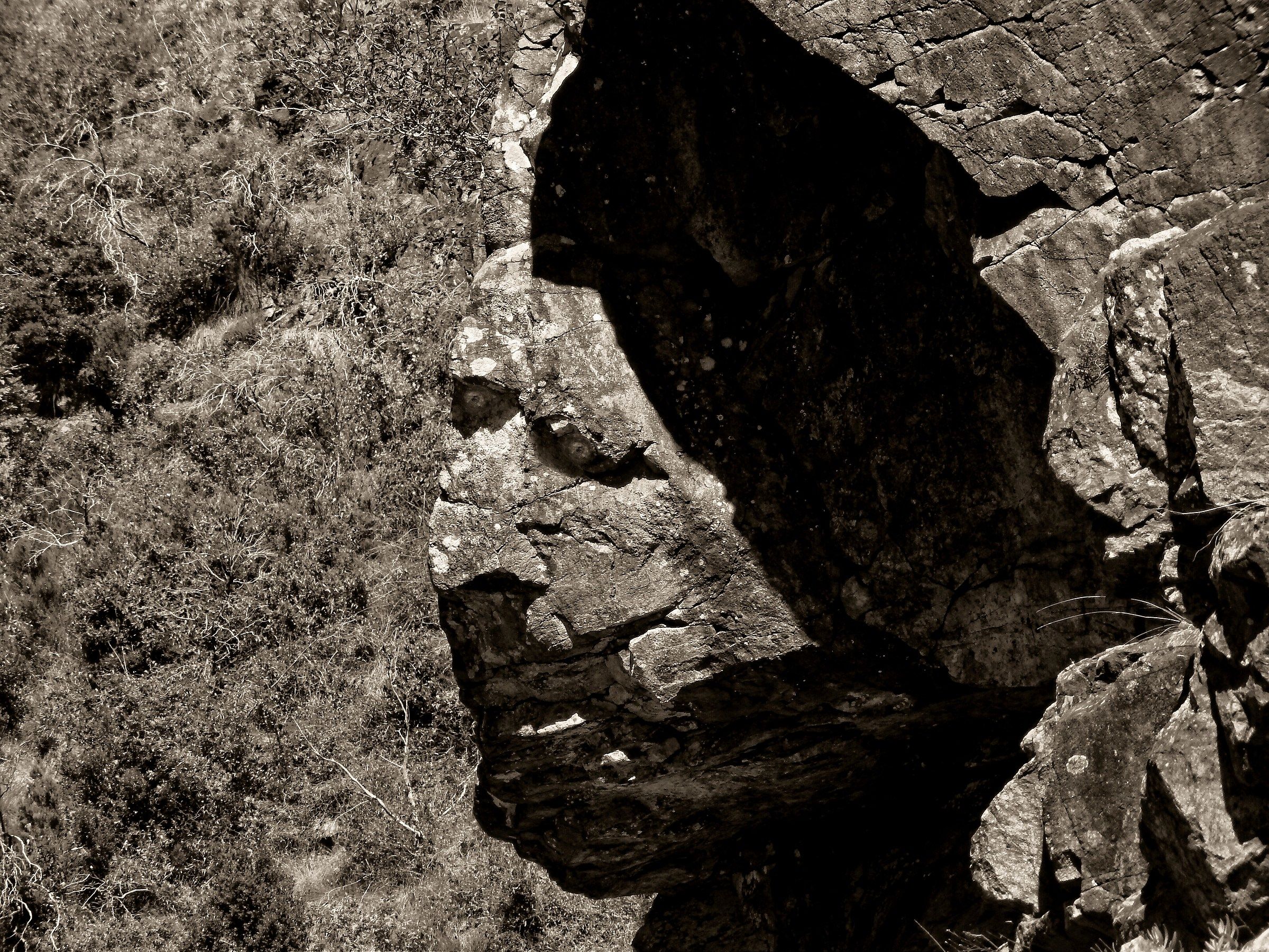 Profili … qualcuno ci osserva …