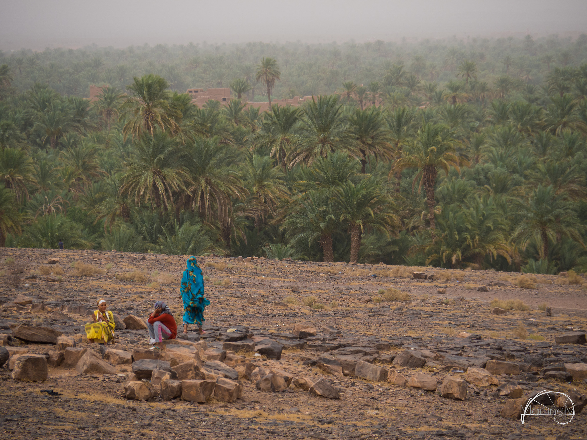 On the road to the desert - Donne e colori