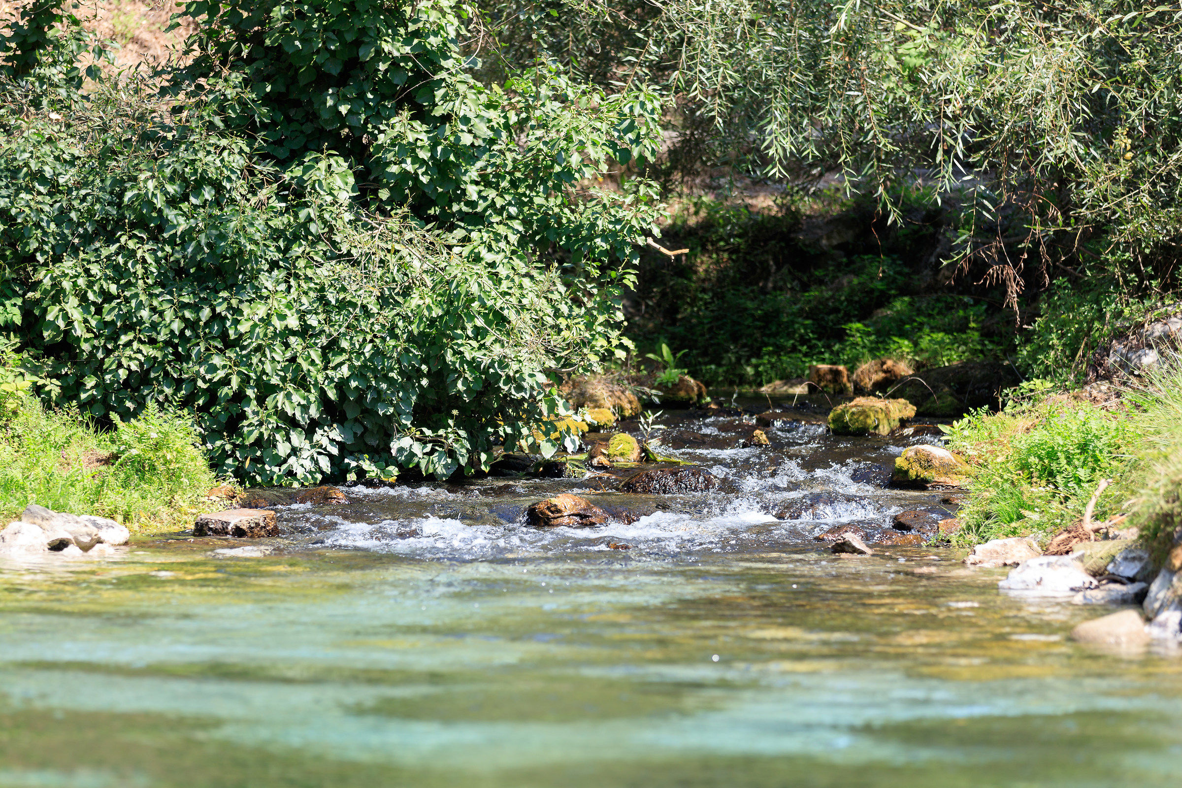 Parco del Grasano - Torrente