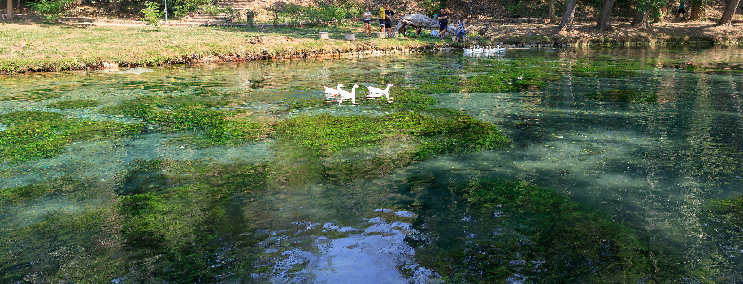 Parco del Grasano - Ochette
