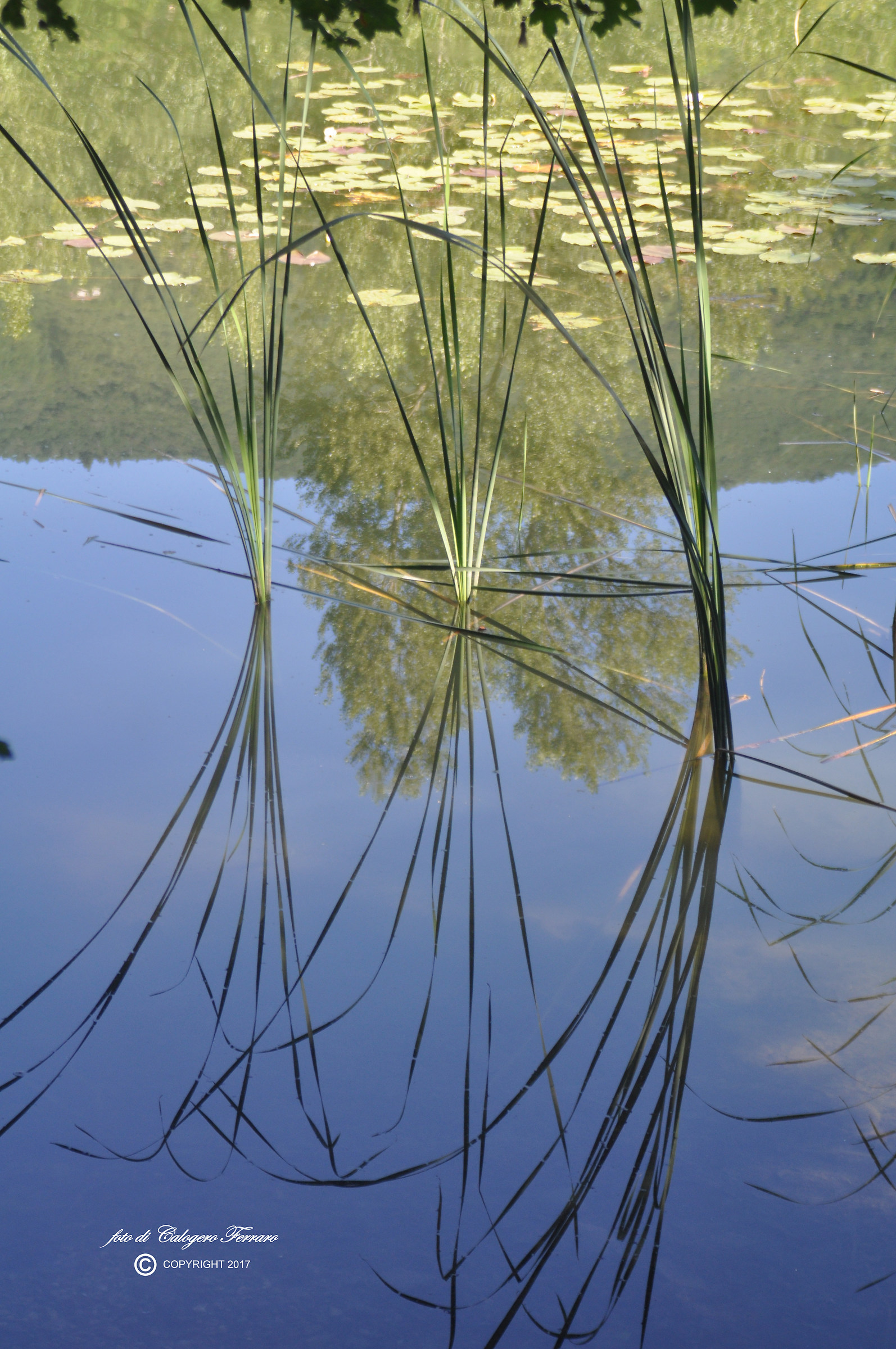Geometries in Spinone Lake