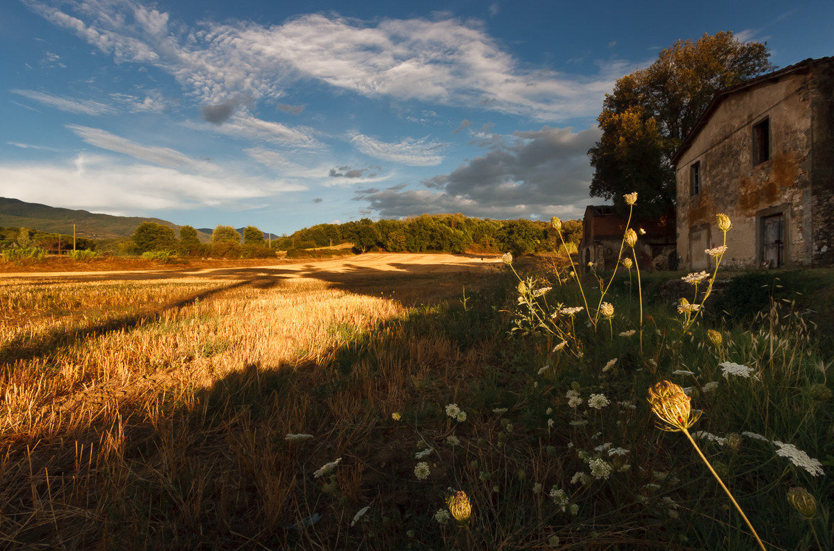 At the slopes of Pratomagno
