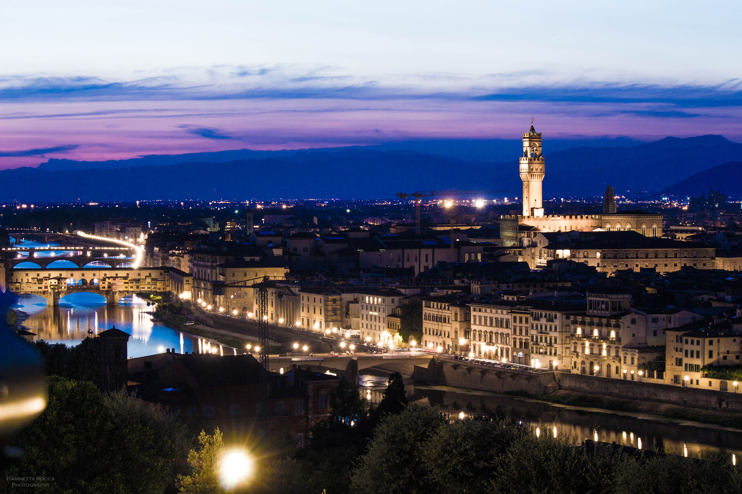 The Violet Fiorentino