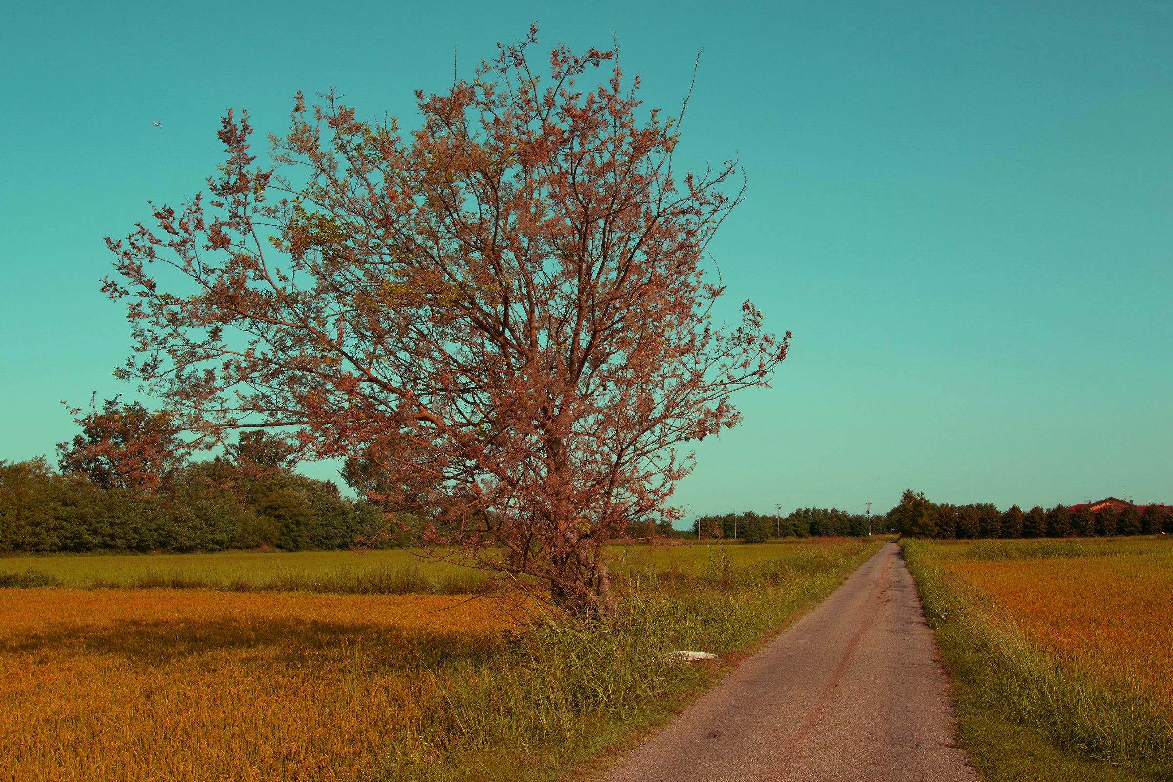 It did not stand still