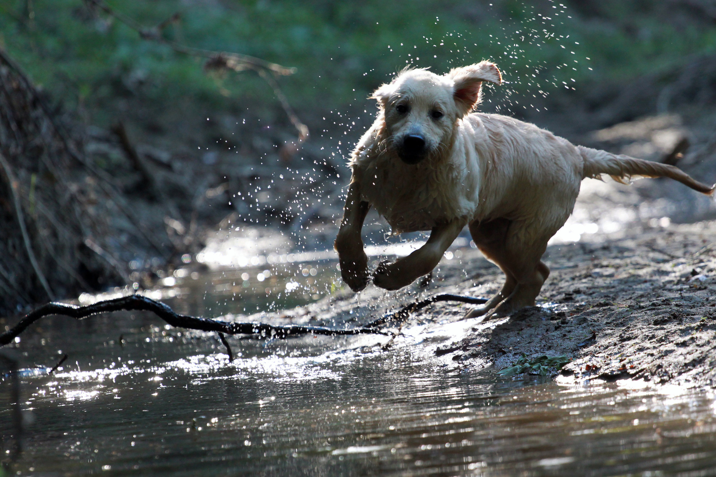At the River with Cookies