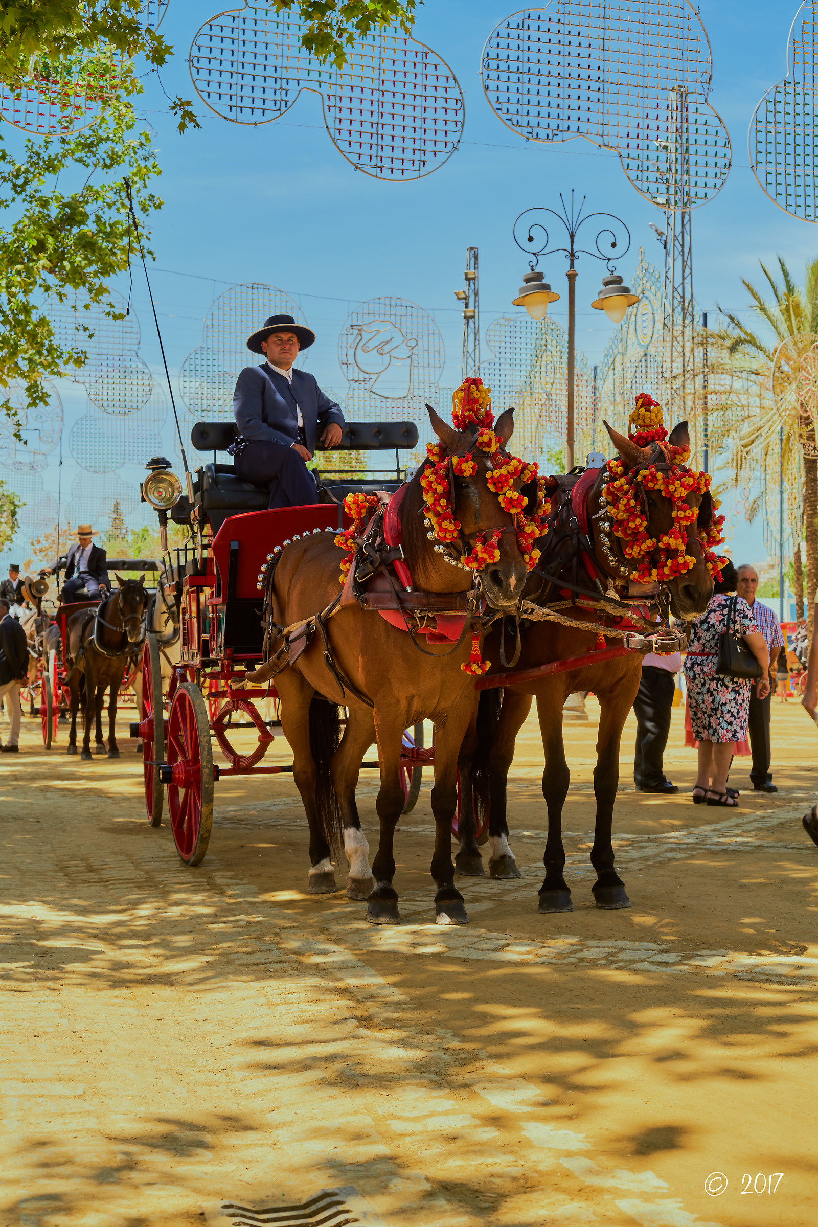 Resting in the shade