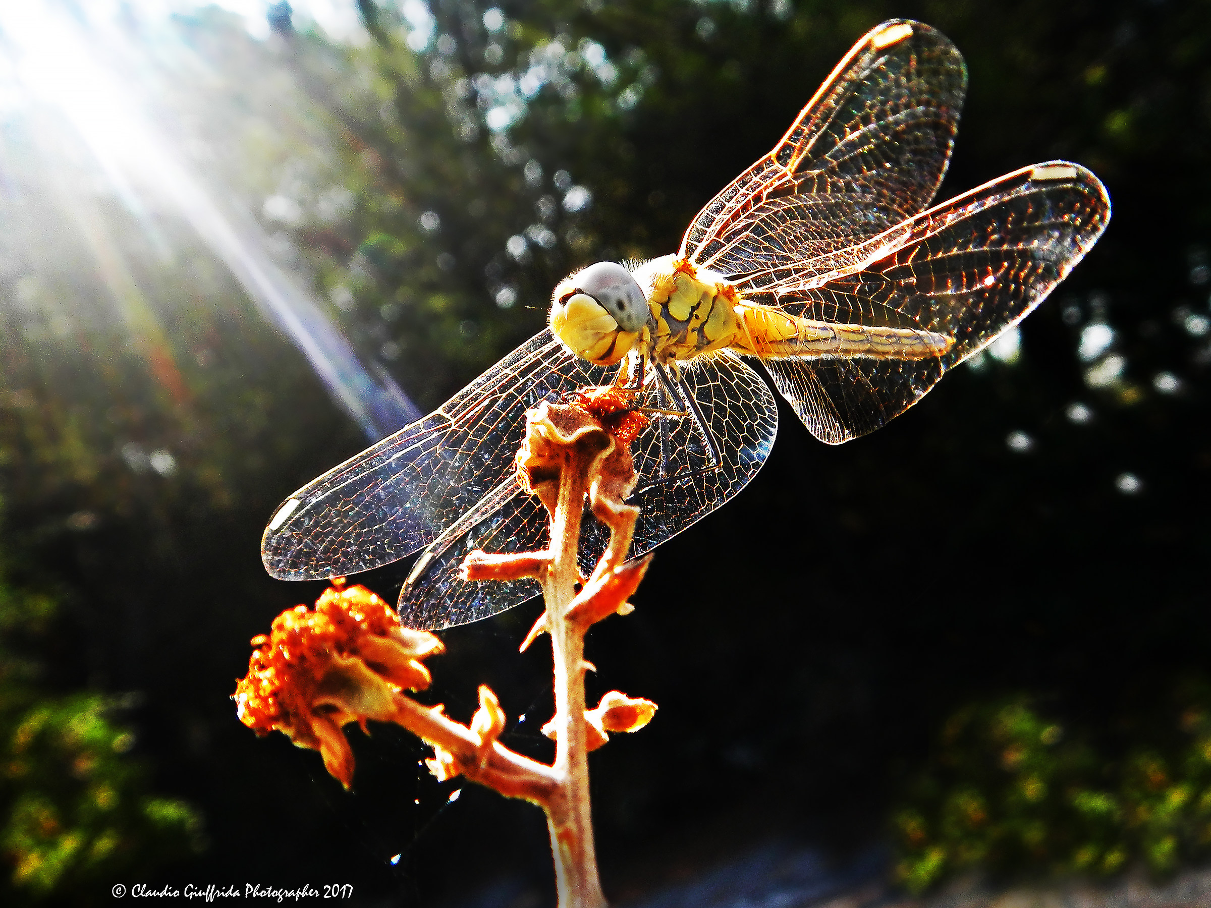 Sotto i raggi del sole