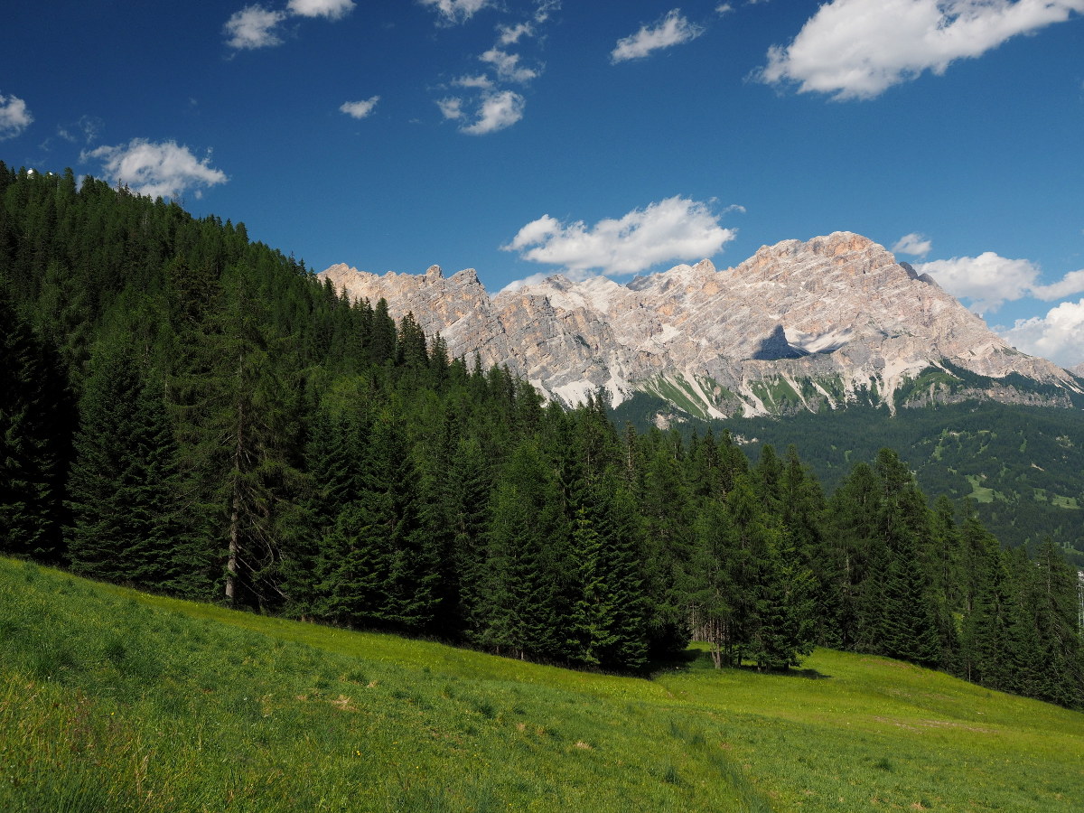 Una tranquilla passeggiata