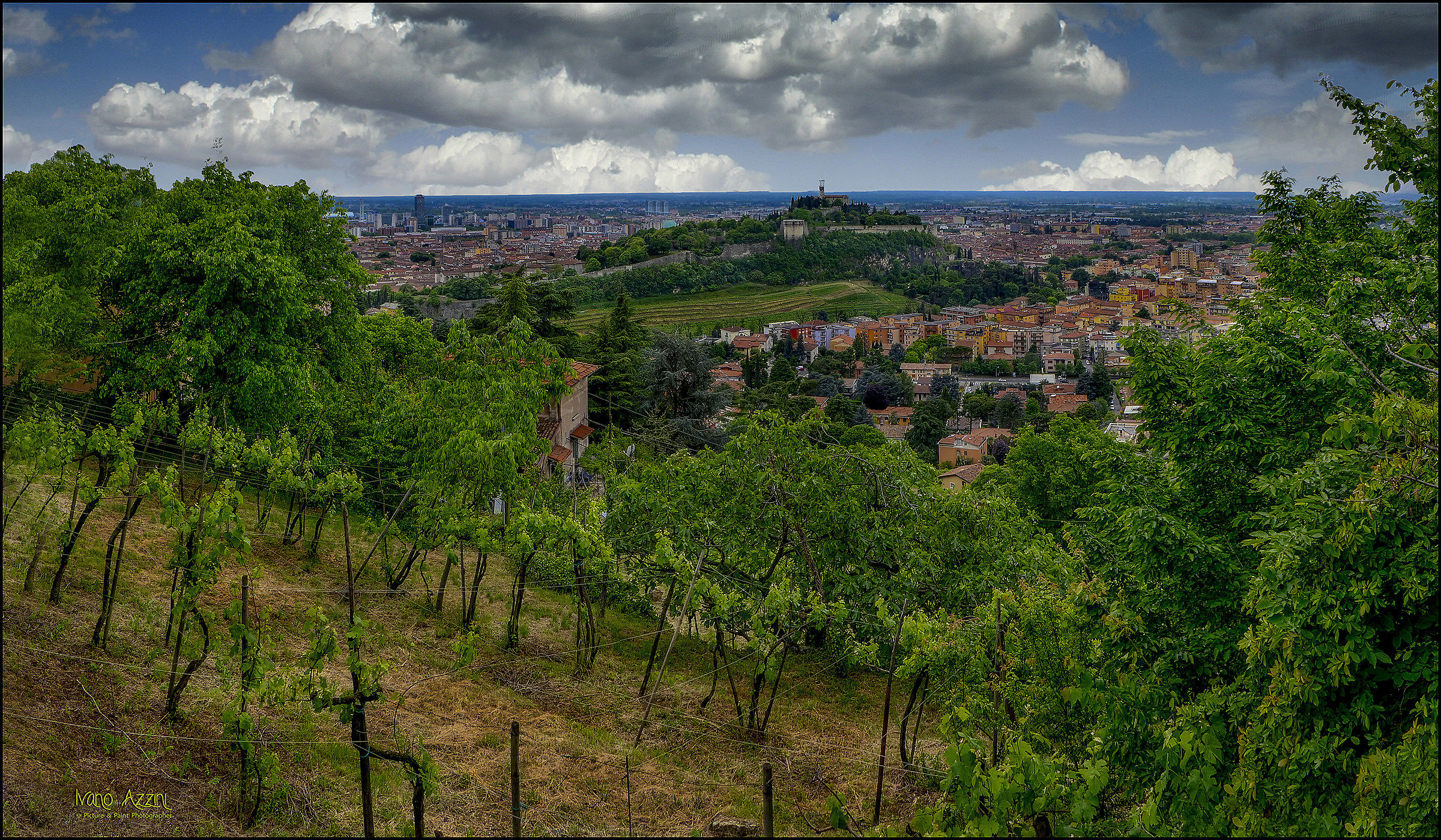 Hills and vineyards in Brescia