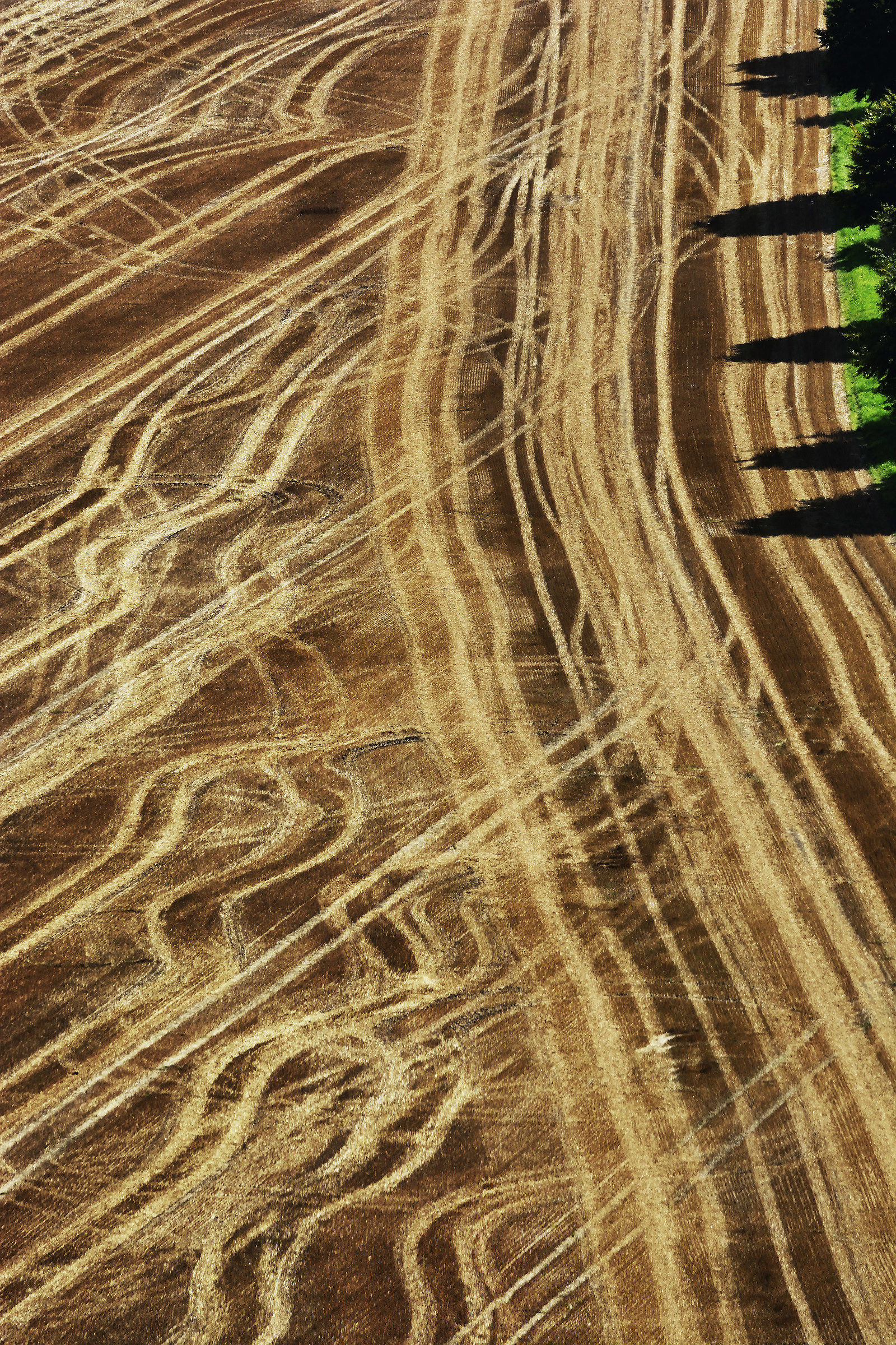 Dopo il Raccolto - Patterns & Shadows