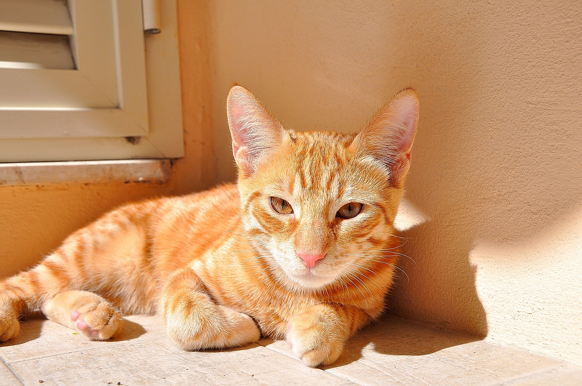 Come si sta bene al sole!