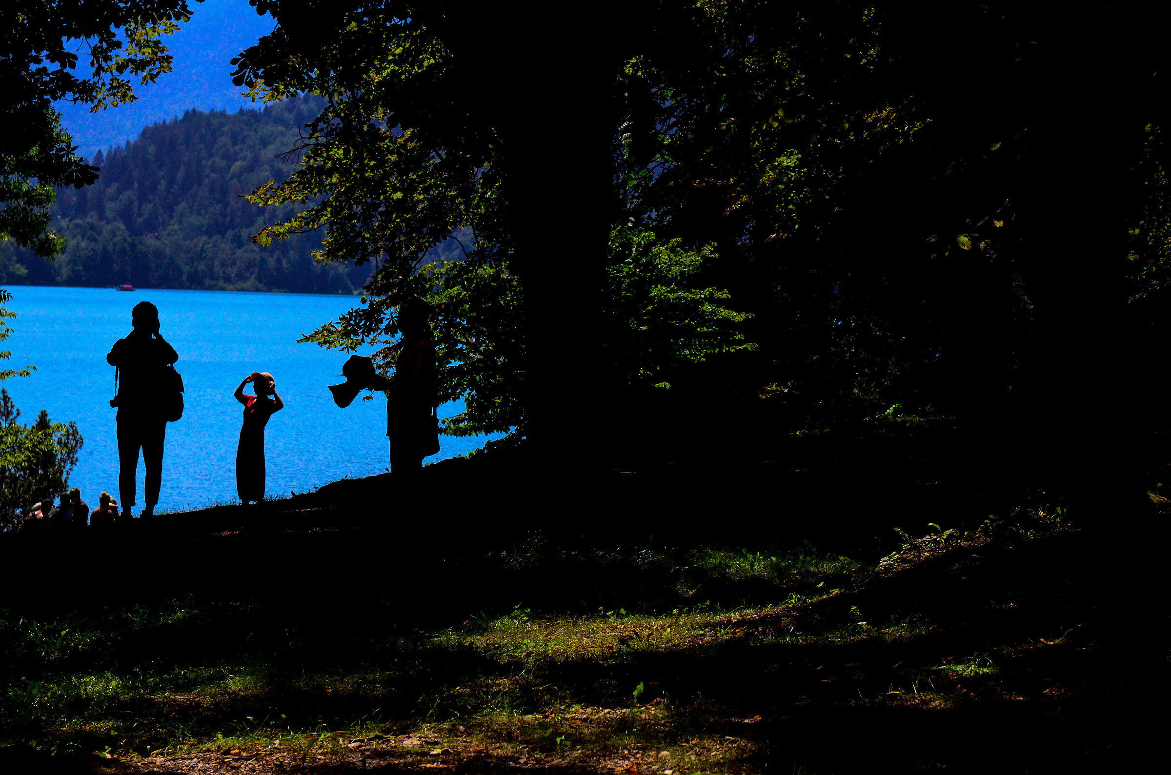 Beauties at the Lake !!!