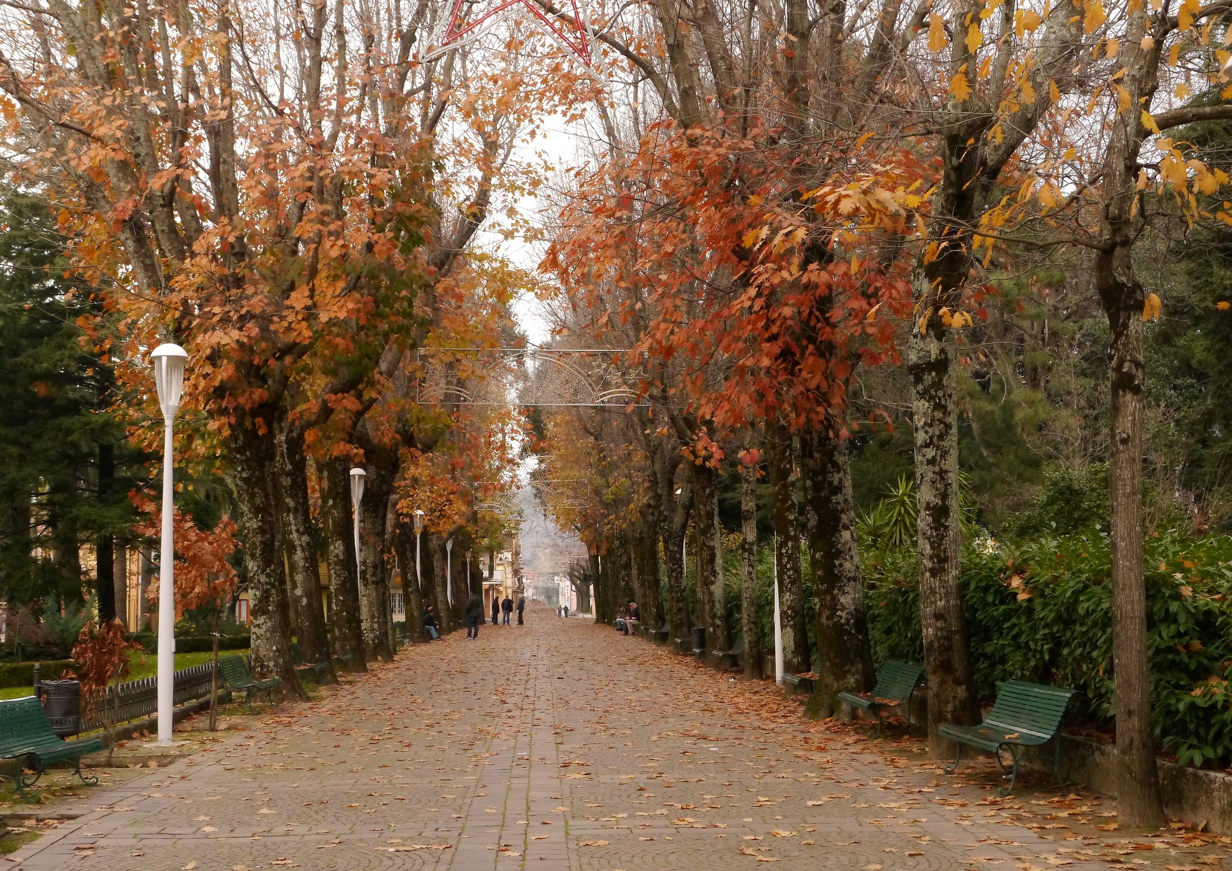 Aspromonte.Cittanova