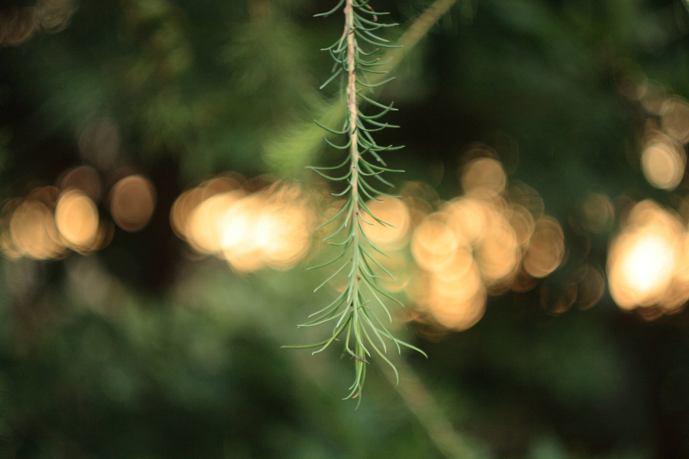 first steps in bokeh #1