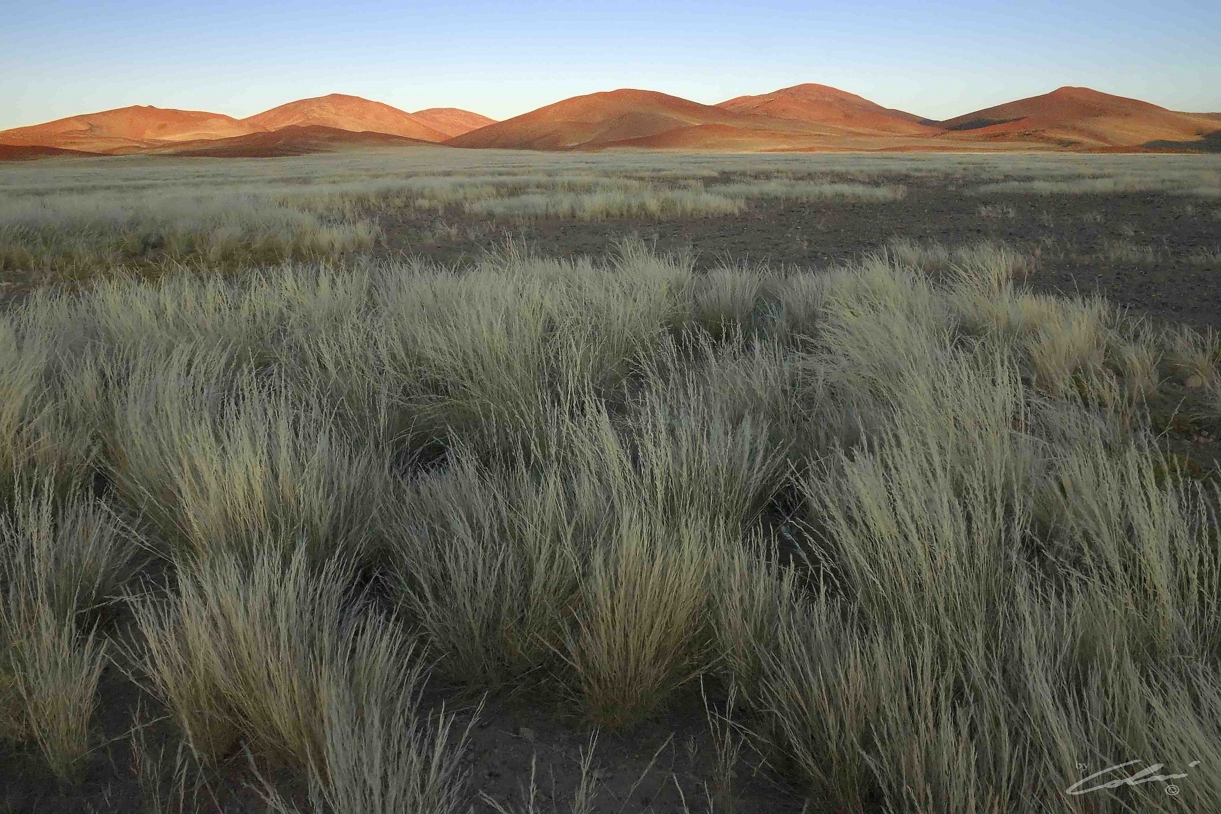 Sunrise in the Namib-Naukluft Park