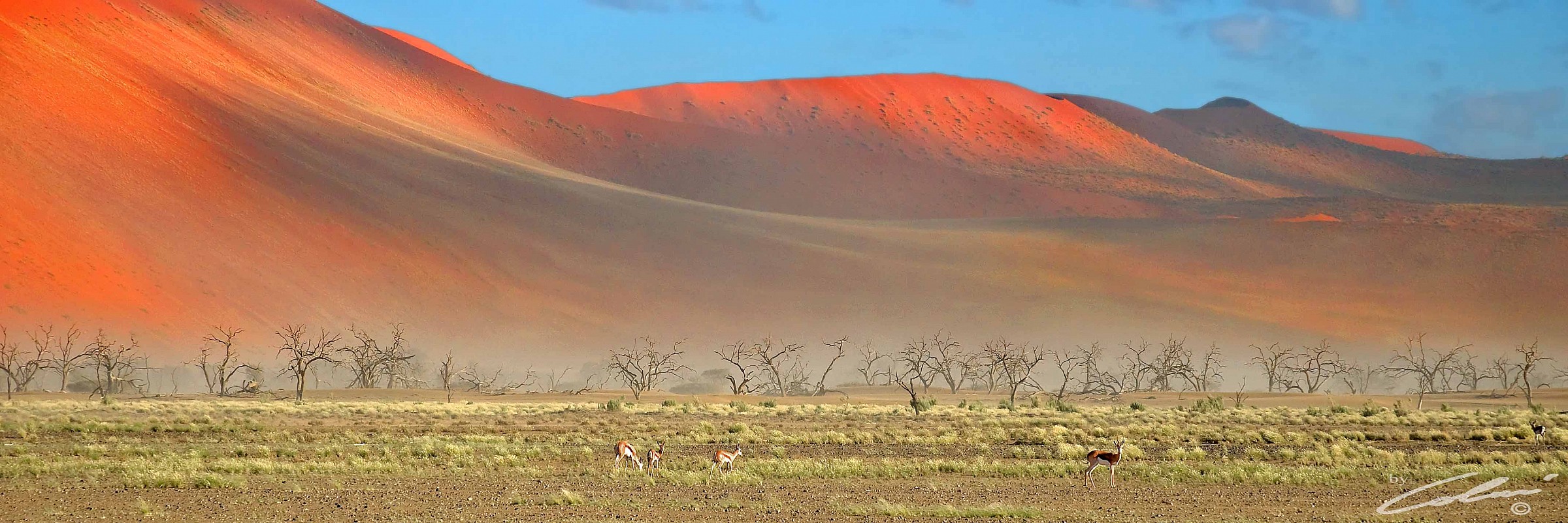 Sossusvlei