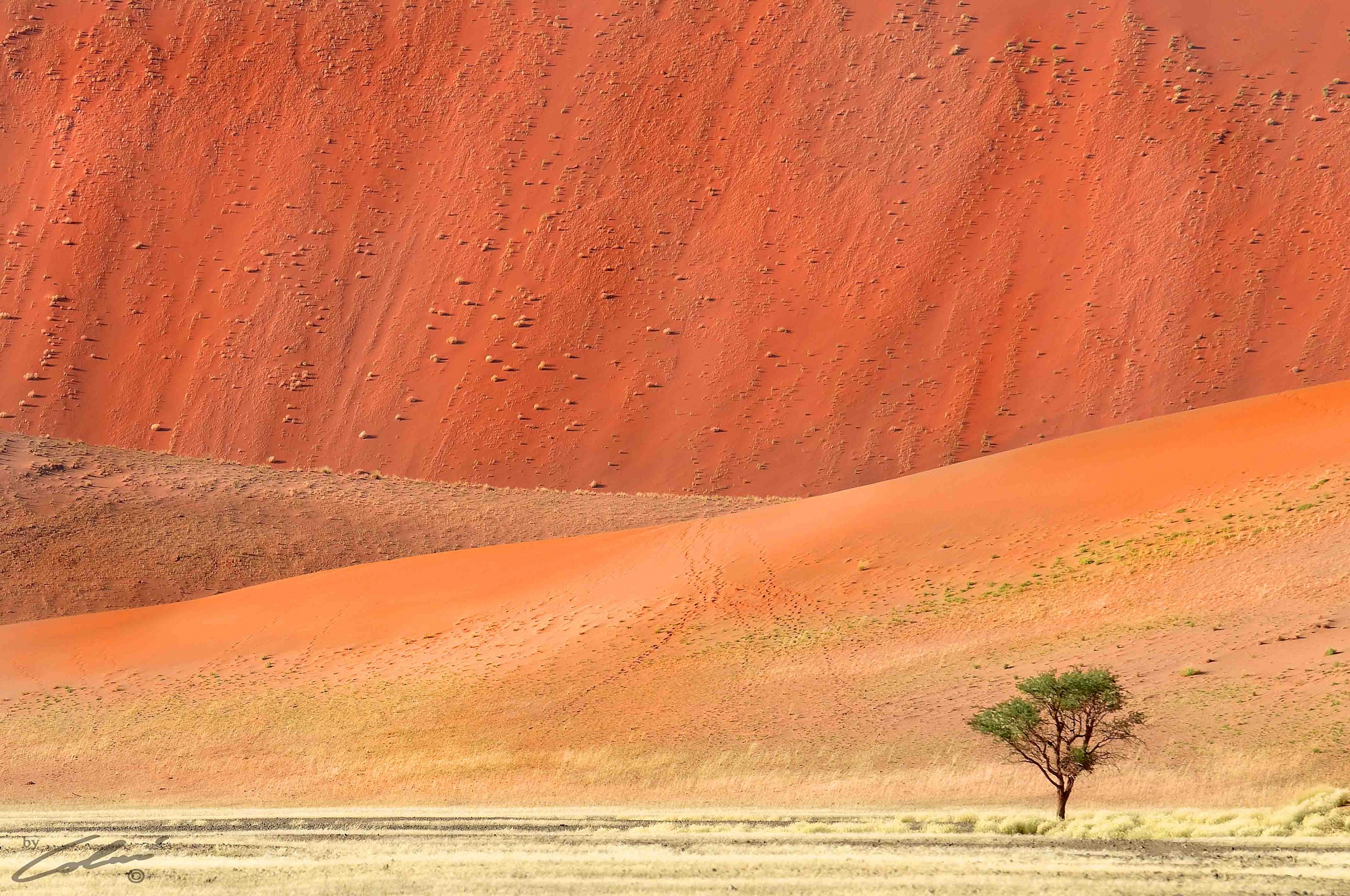 Colors of the Namib