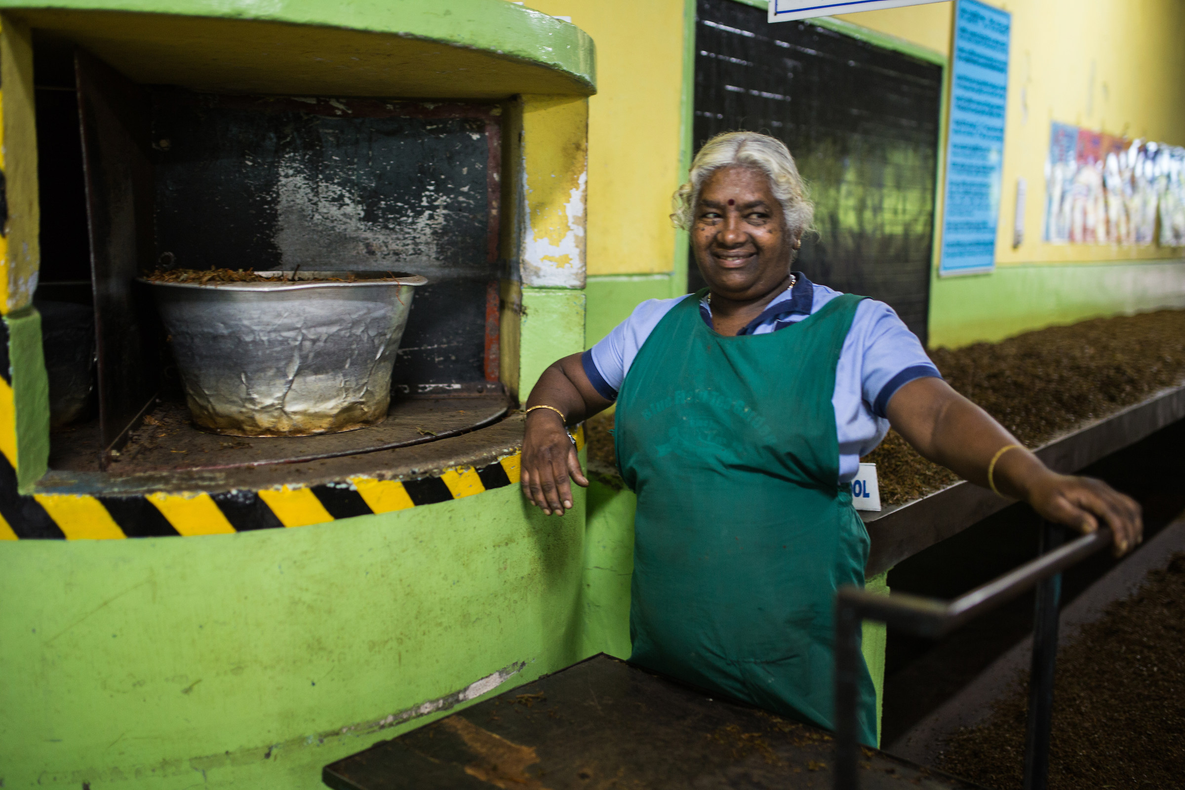 Tea factory worker