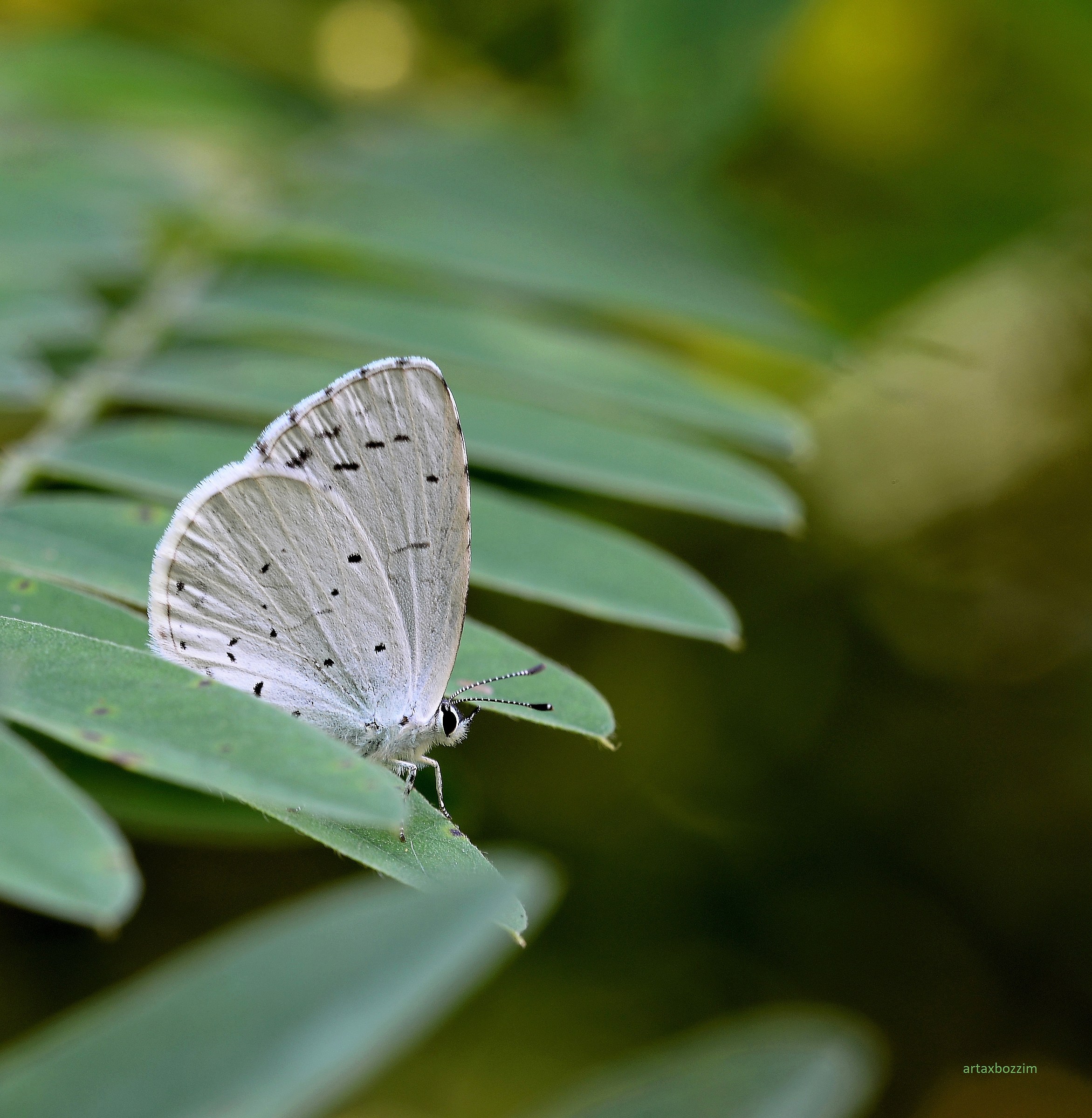 How heavy they are !!!