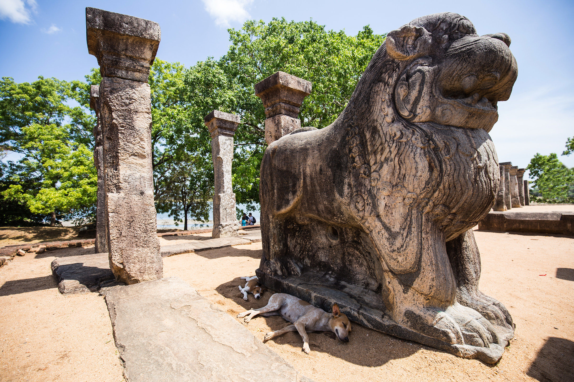 In the shadow of the lion