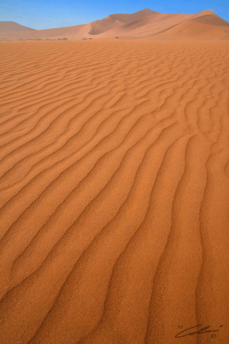 Sand of the Namib