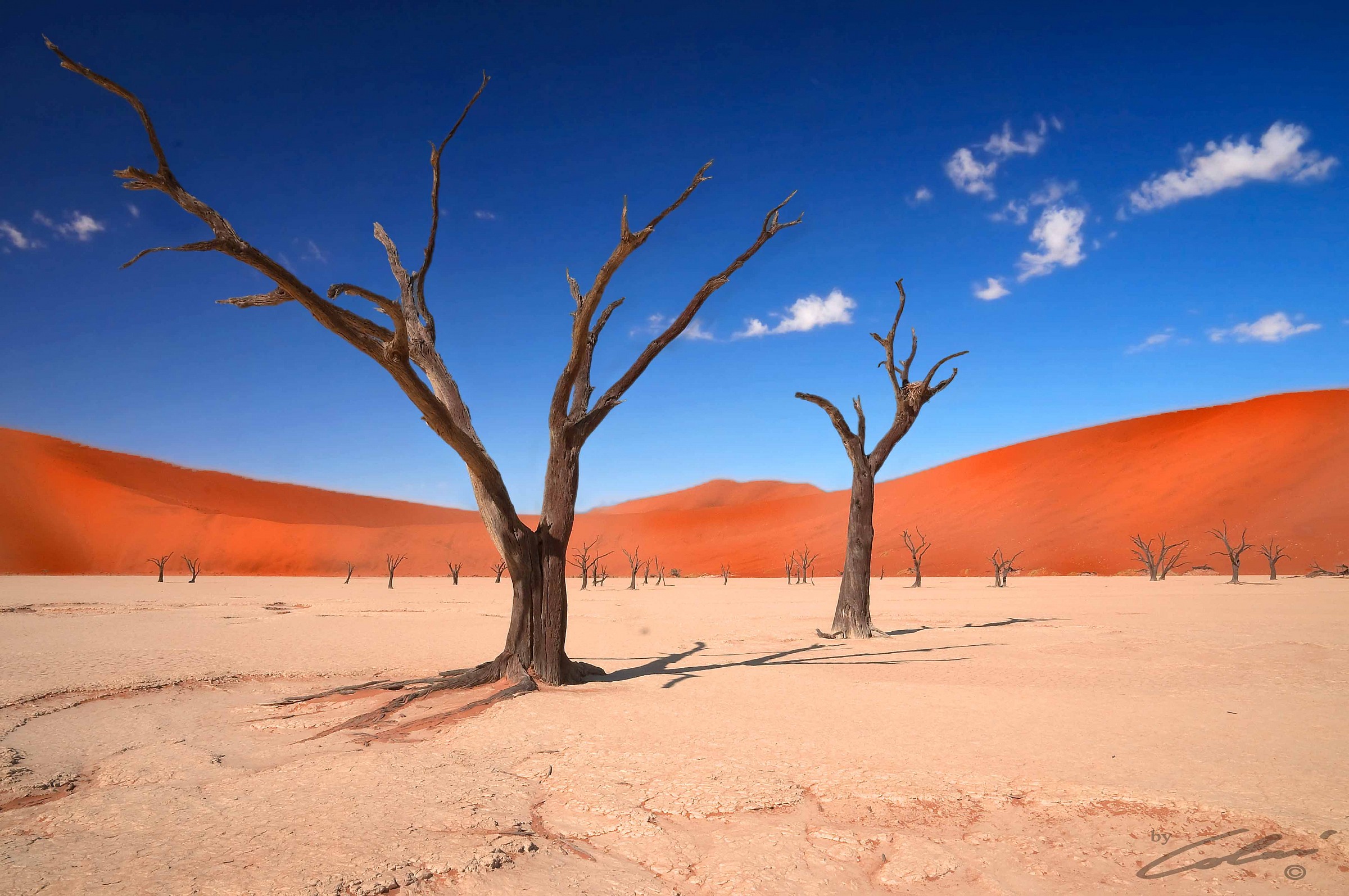 Acacias eriolobe to Deadvlei