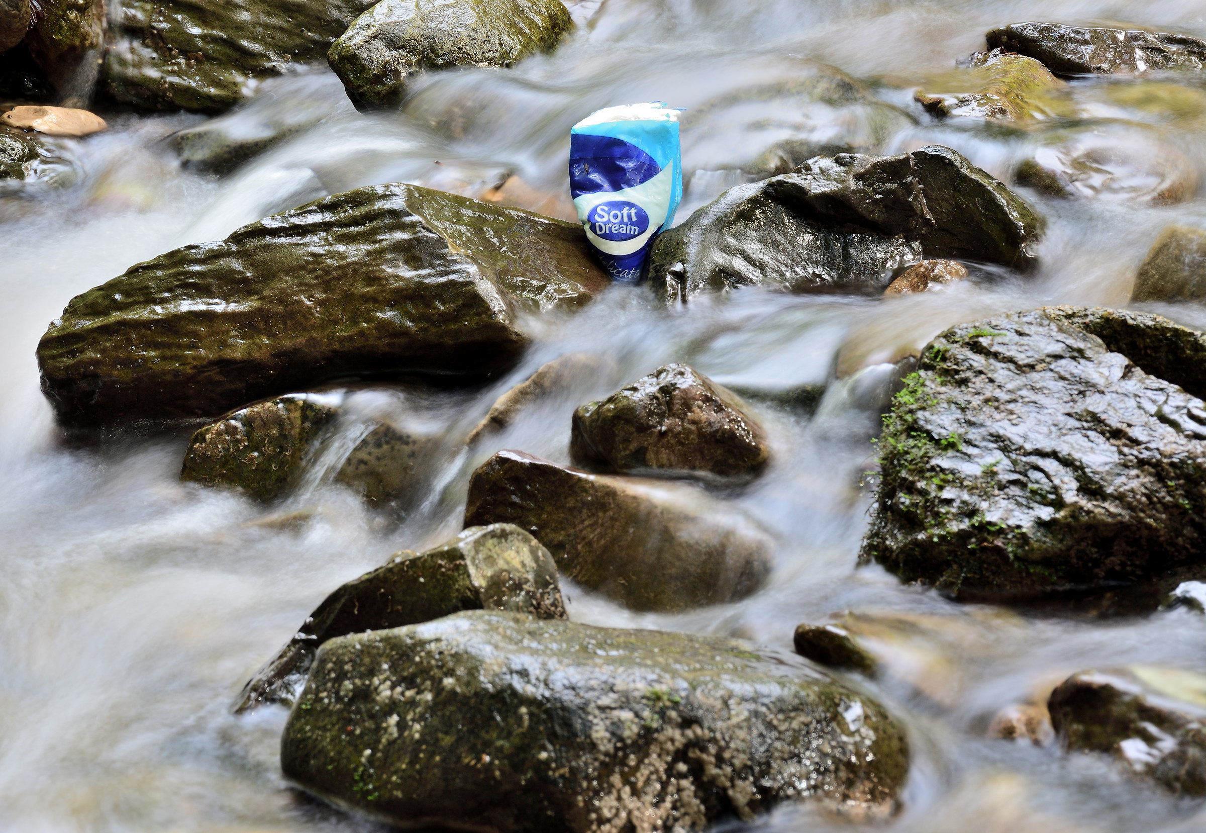 gichi d'acqua ... soft