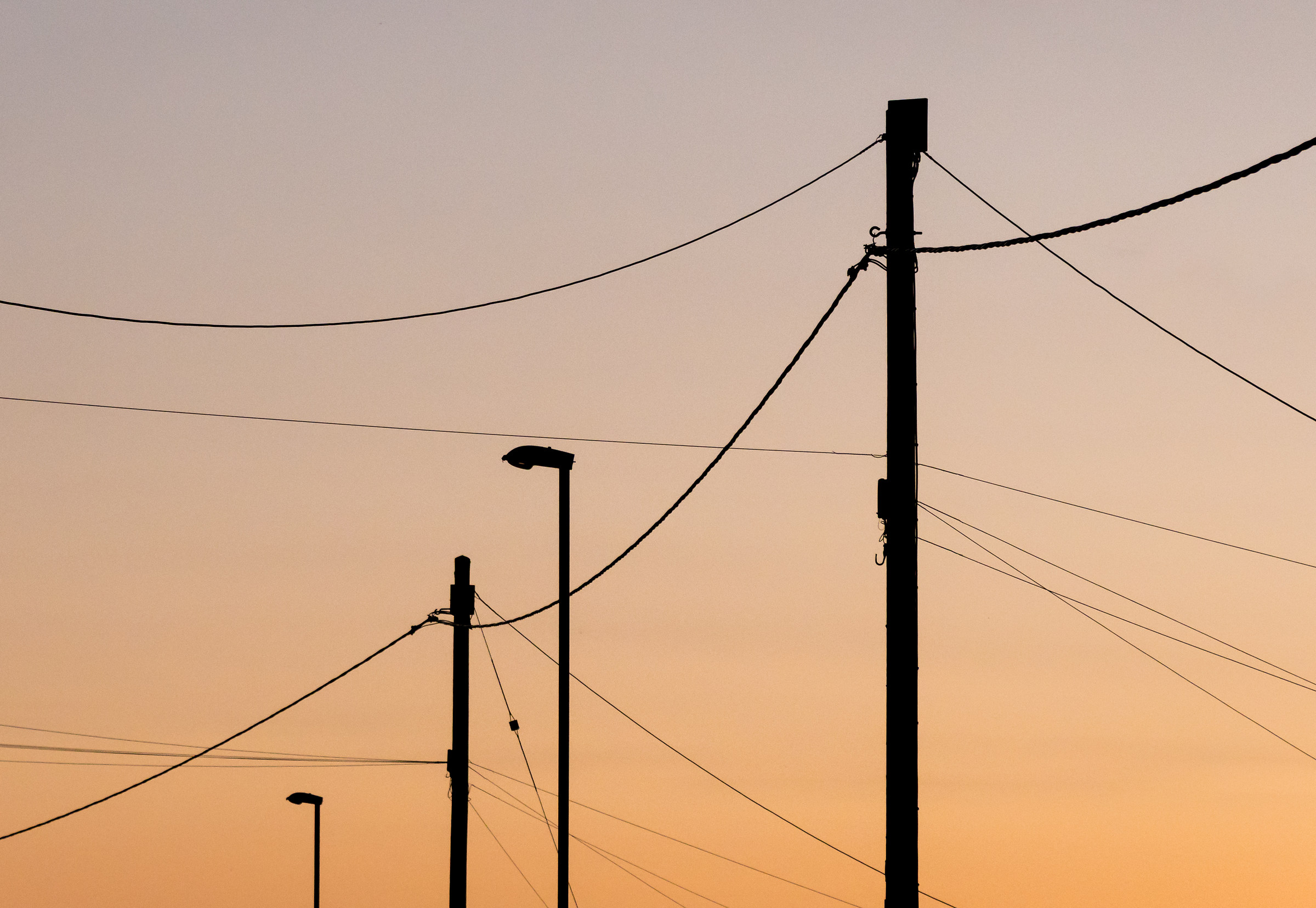 Dove sono tutti gli uccelli quando ne avete bisogno?