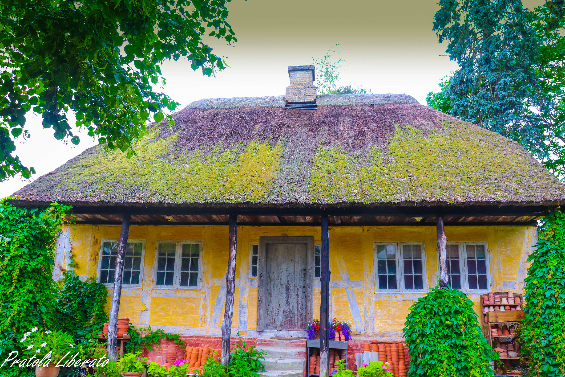 Den Gamle By