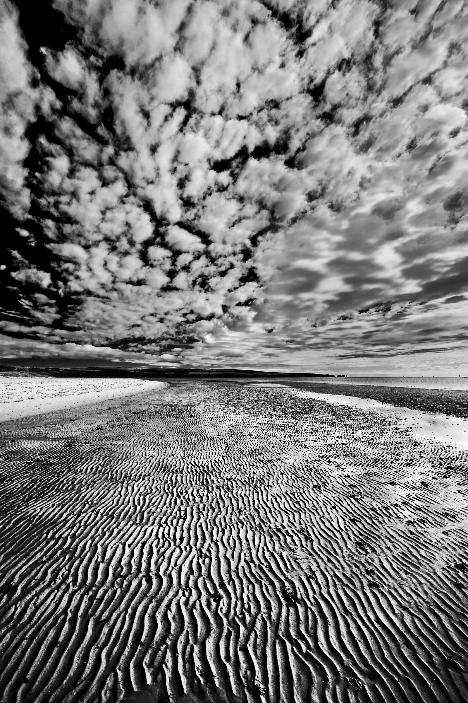 An Empty Beach! (But not for long)