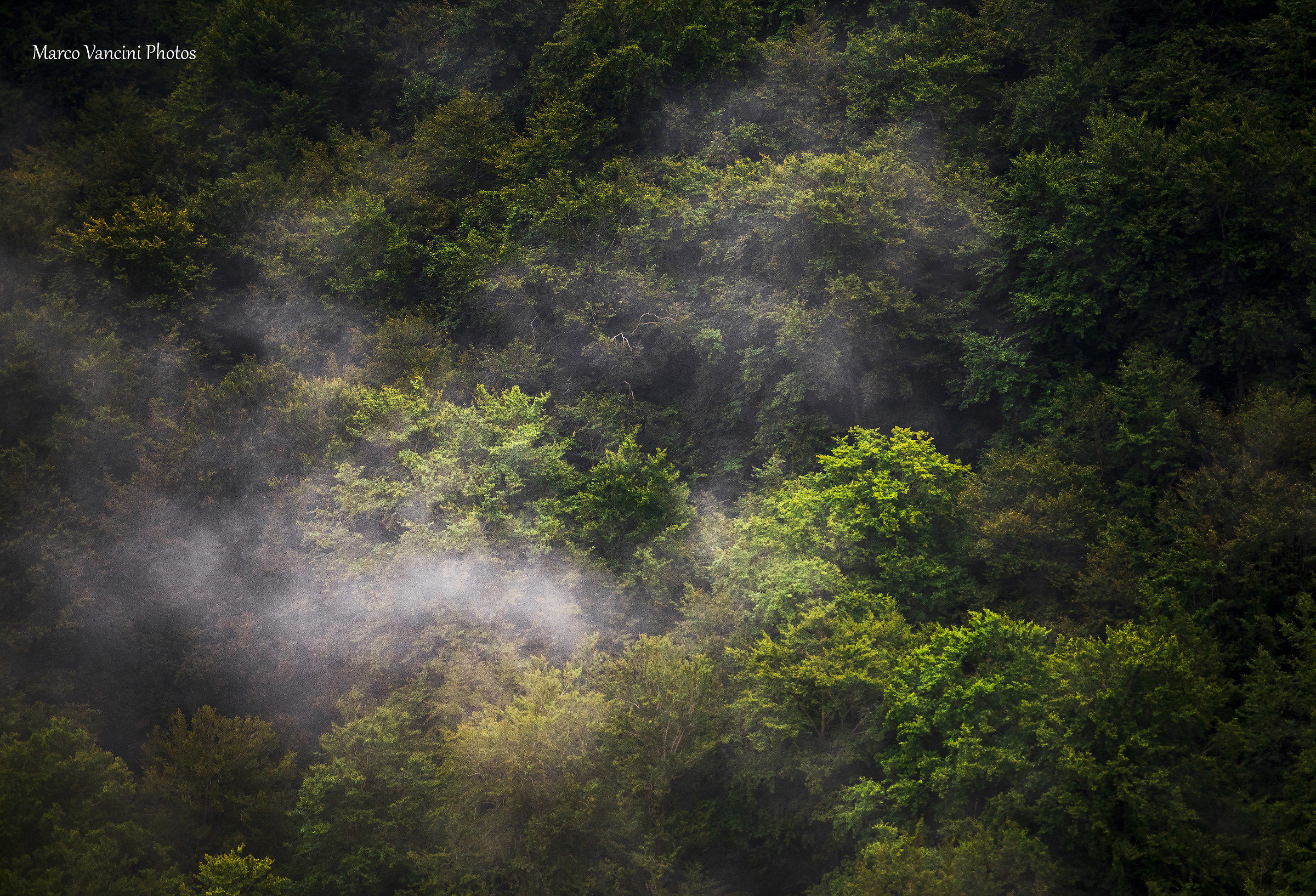 The arrival of the rain