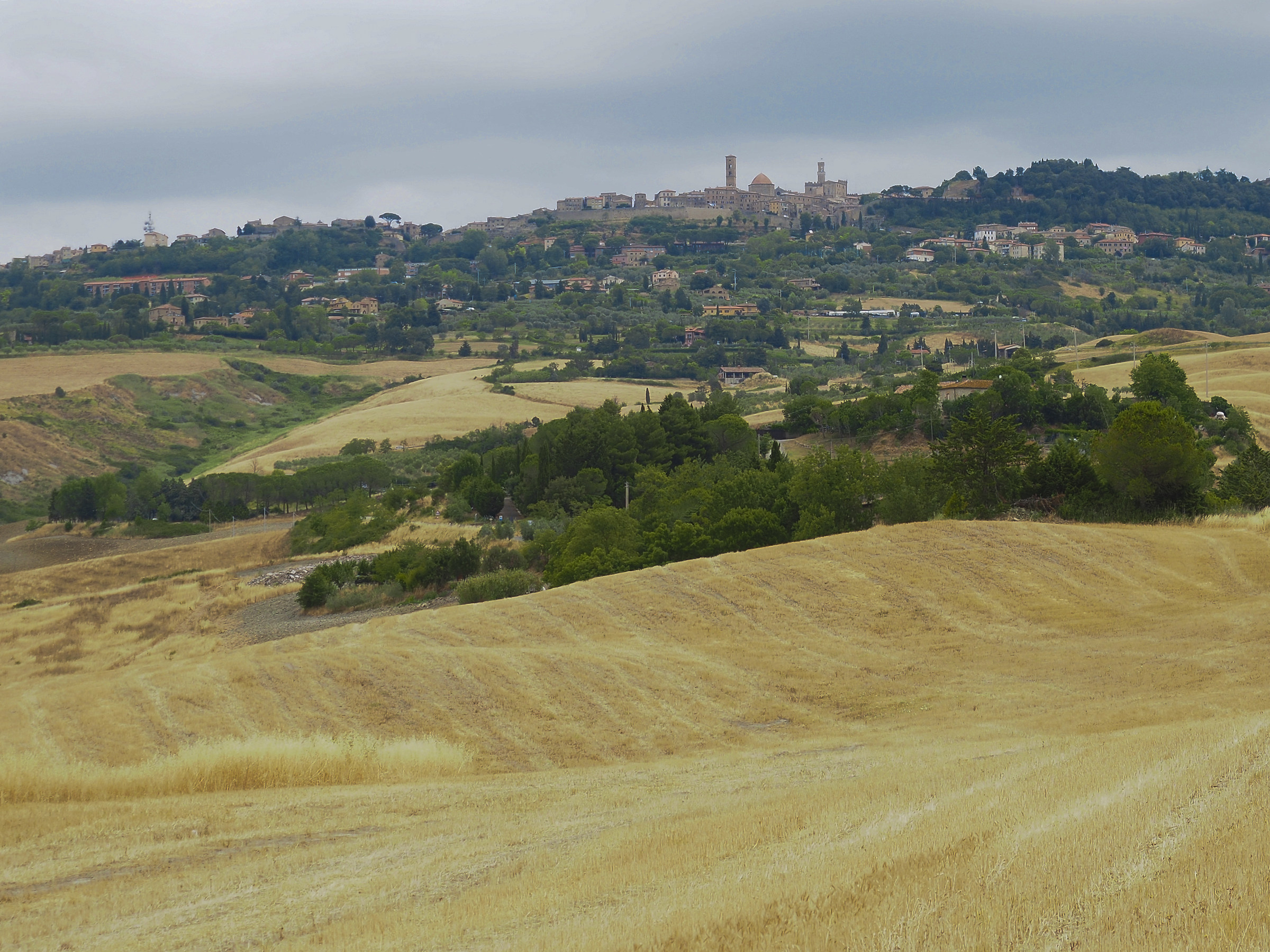 Volterra
