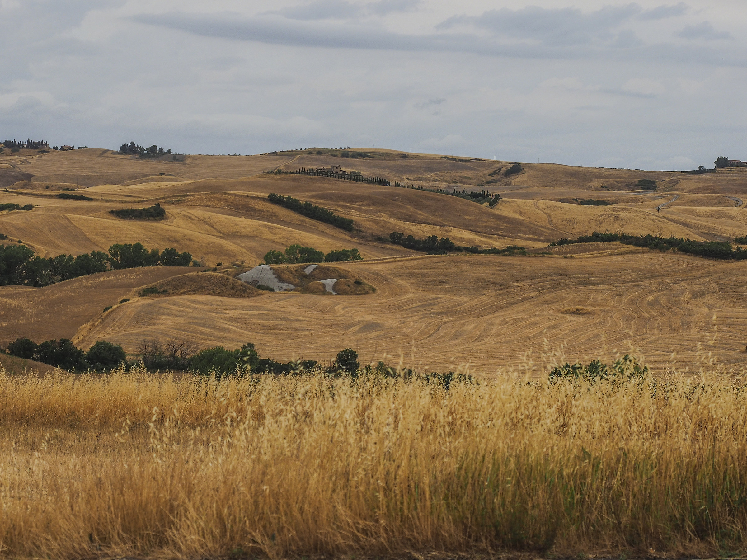 Volterra1