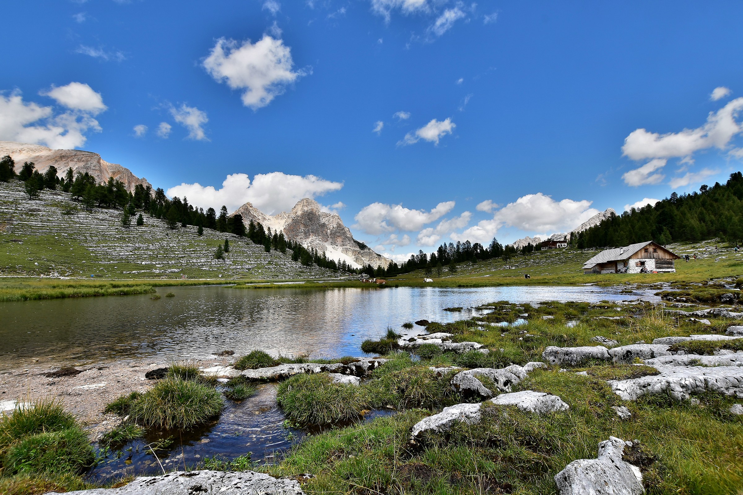Lake Verth -Frying Lavarella